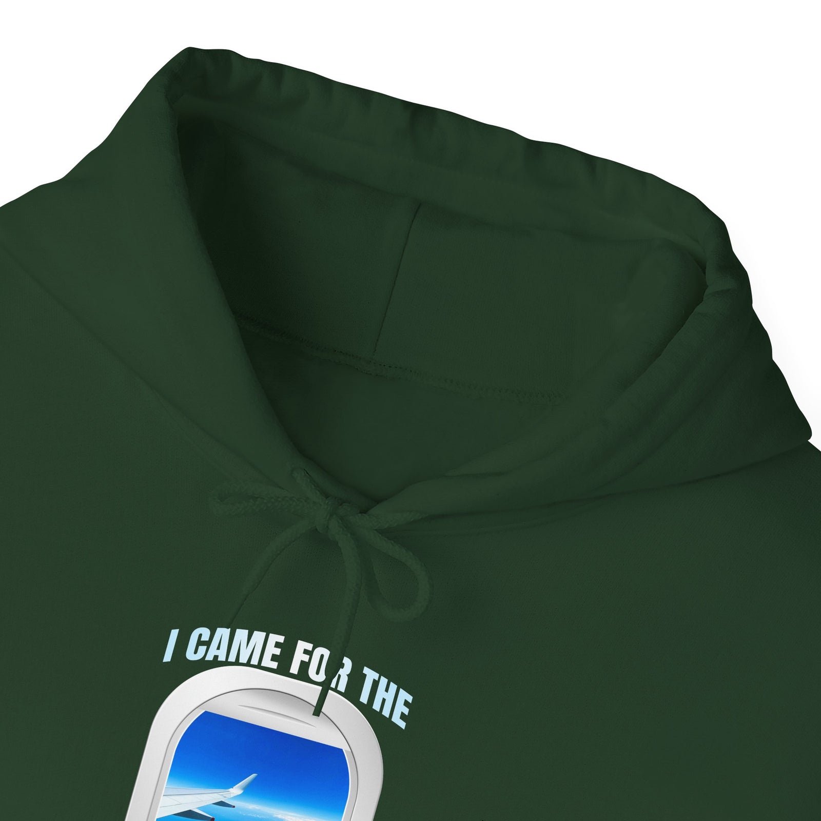 I Came For The Window Seat - Pullover Hoodie