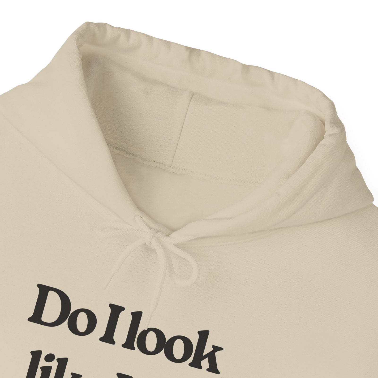 Do I Look Like I Fly Economy? - Pullover Hoodie