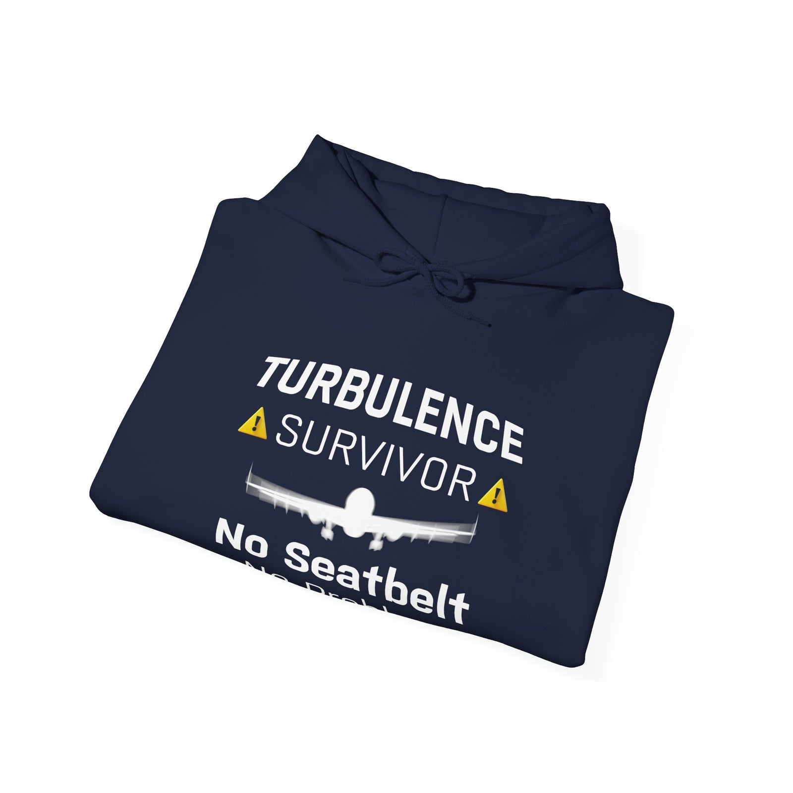 Turbulence survivor - Pullover Hoodie