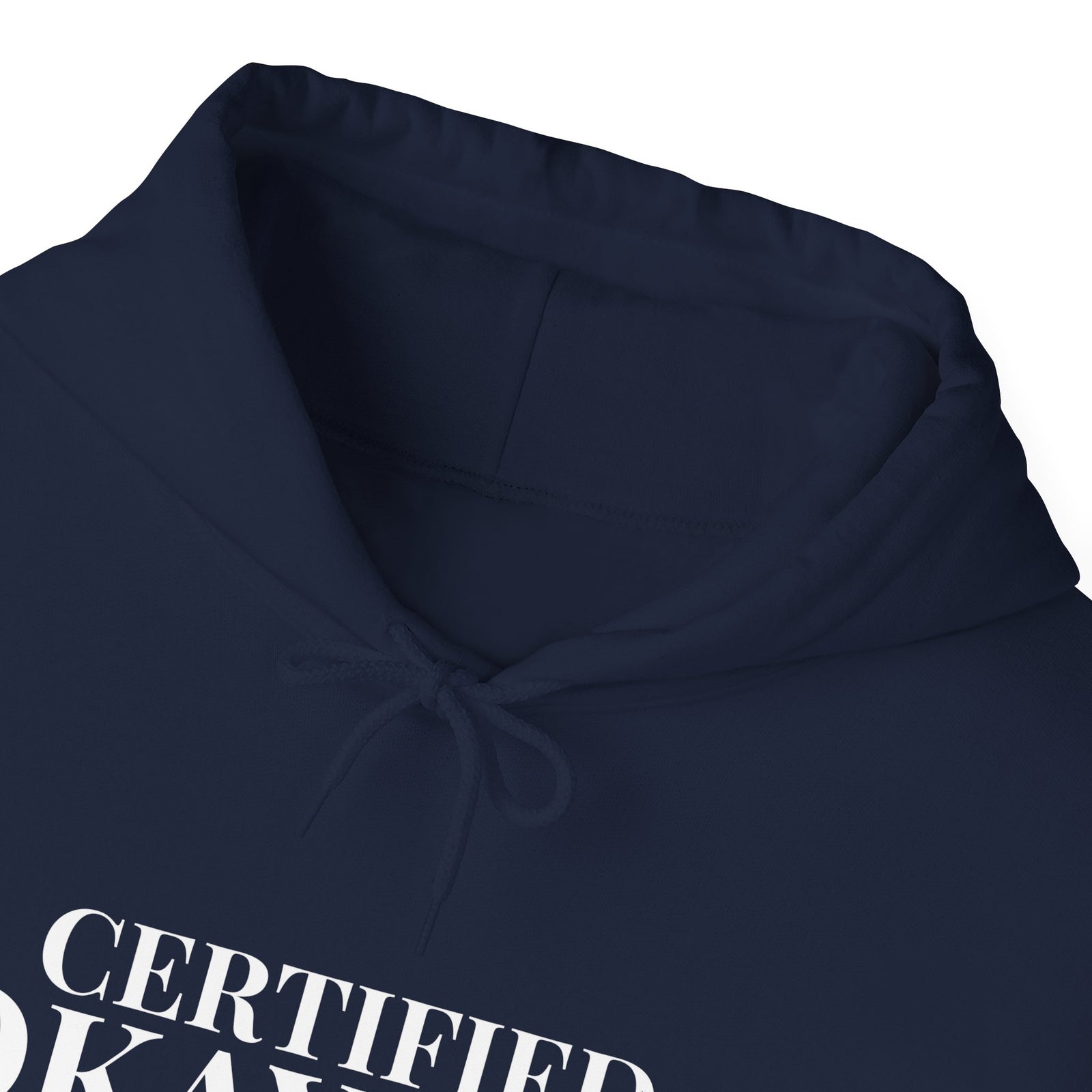 Certified Okay-ish Pilot - Pullover Hoodie
