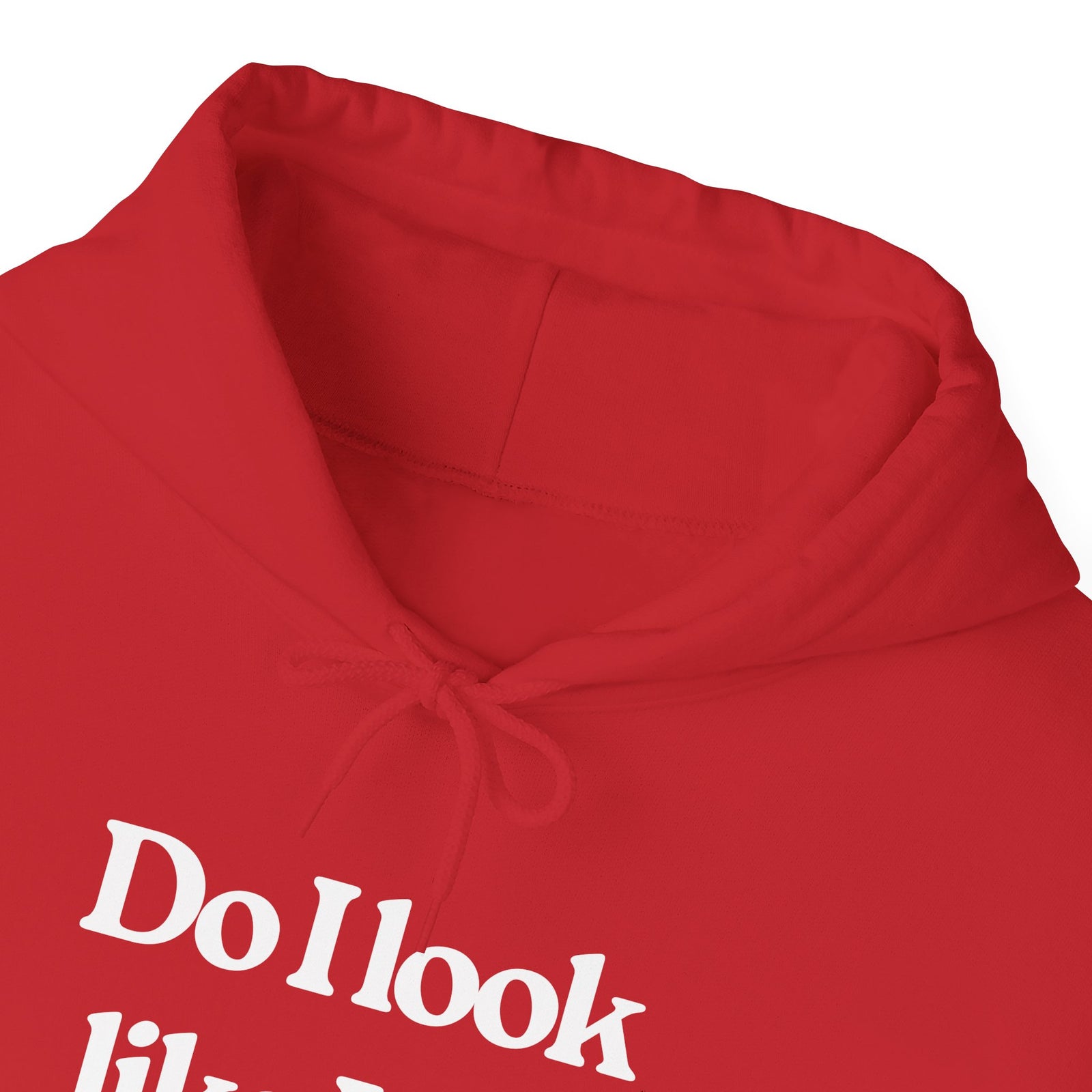 Do I Look Like I Fly Economy? - Pullover Hoodie