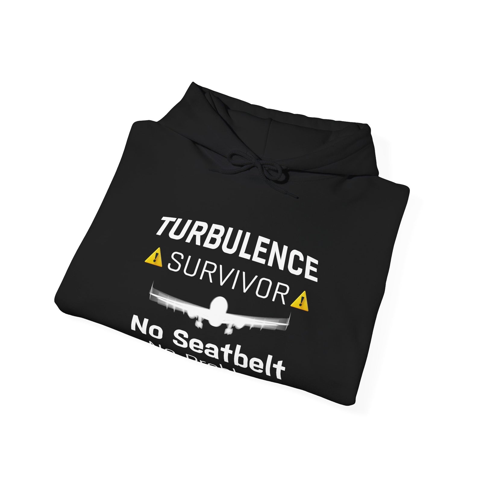 Turbulence survivor - Pullover Hoodie