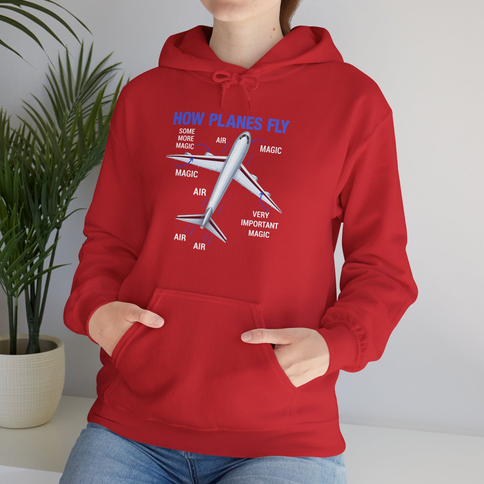 How Planes Fly - Pullover Hoodie