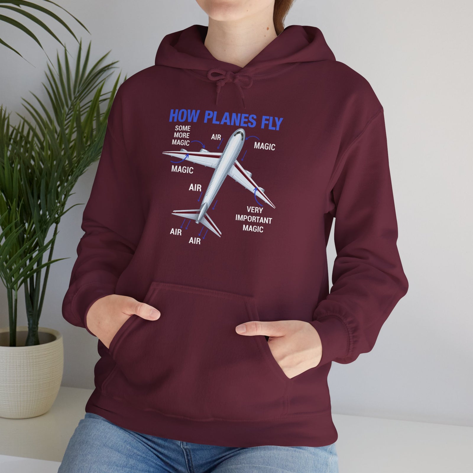 How Planes Fly - Pullover Hoodie