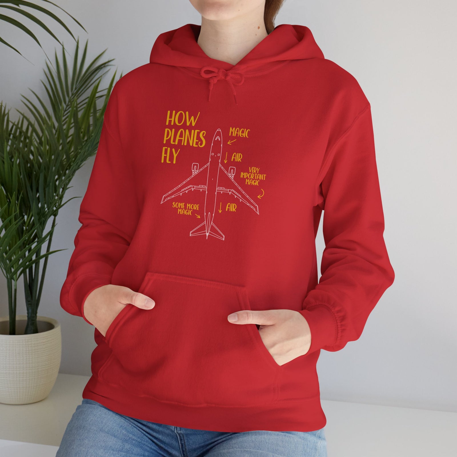 How Planes Fly? - Pullover Hoodie