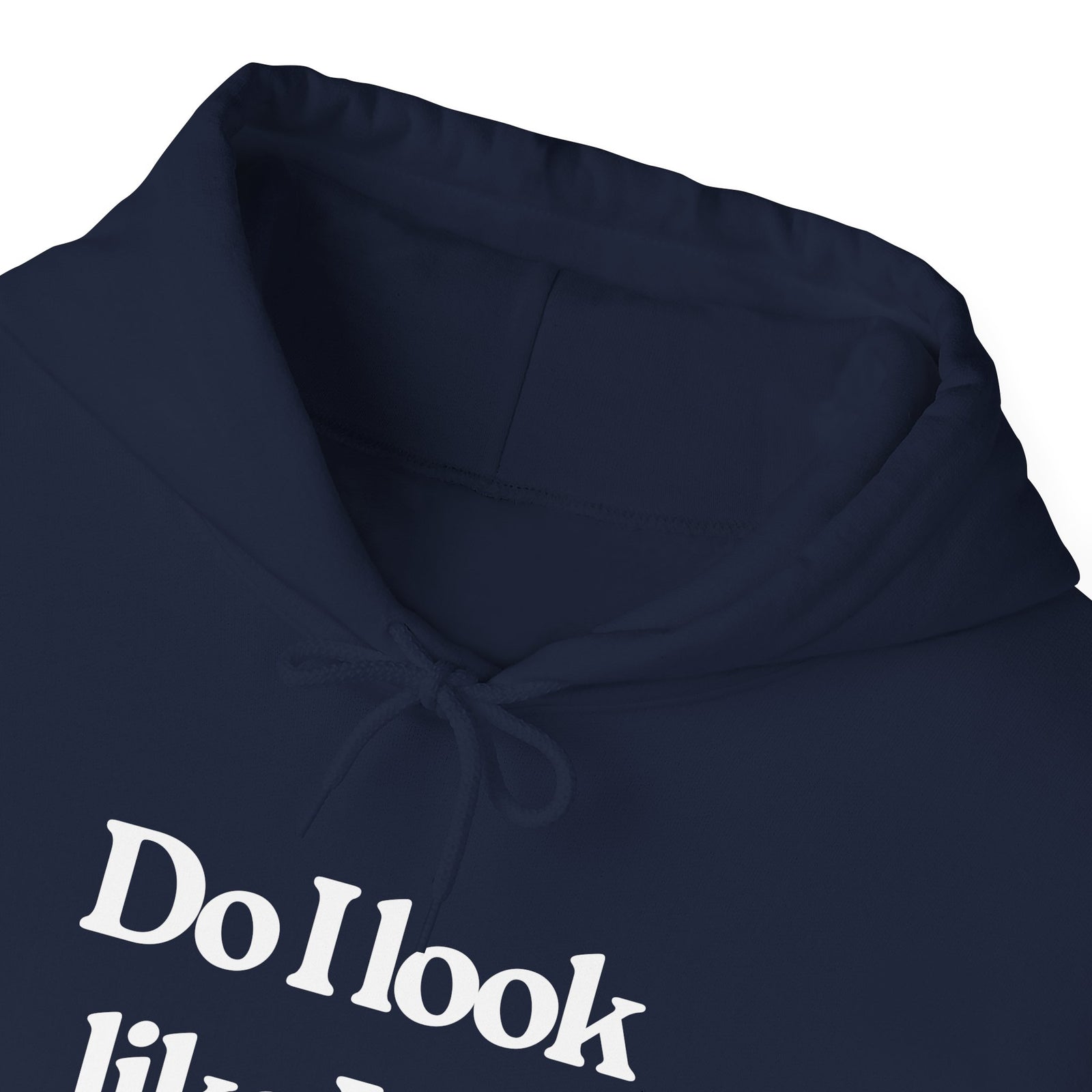 Do I Look Like I Fly Economy? - Pullover Hoodie