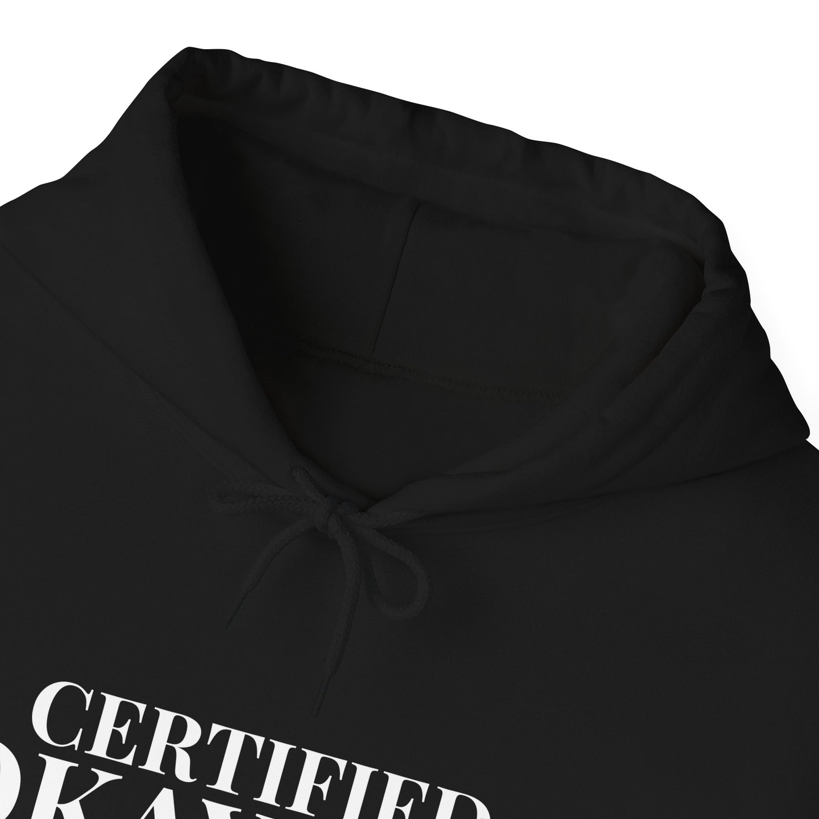 Certified Okay-ish Pilot - Pullover Hoodie