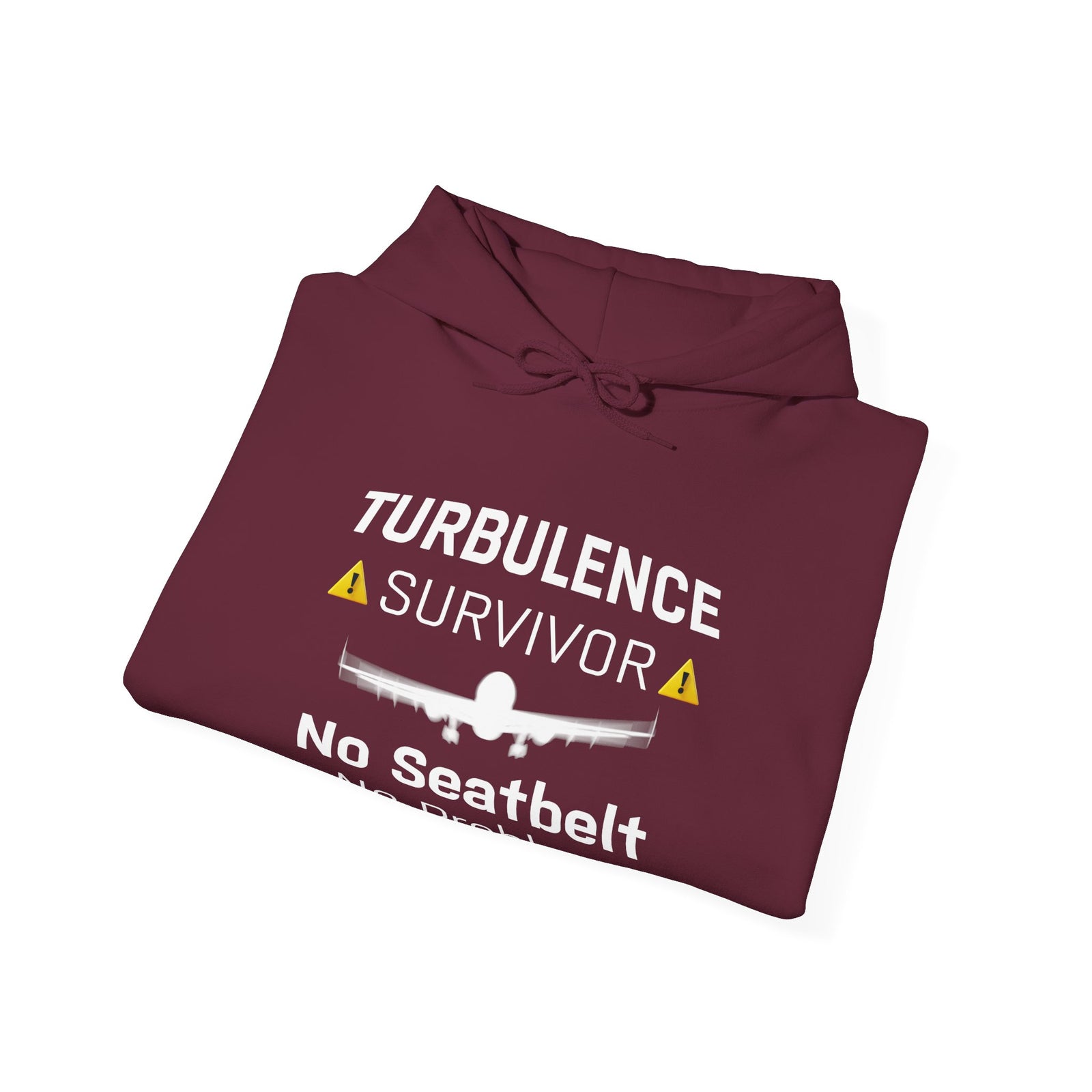 Turbulence survivor - Pullover Hoodie