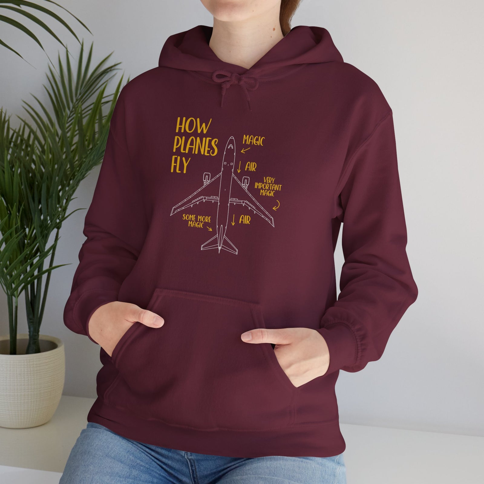 How Planes Fly? - Pullover Hoodie