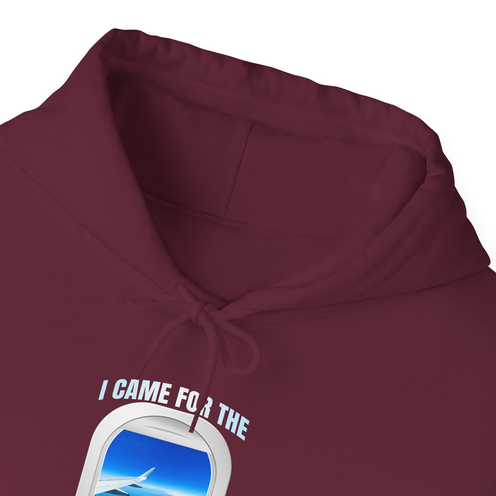 I Came For The Window Seat - Pullover Hoodie