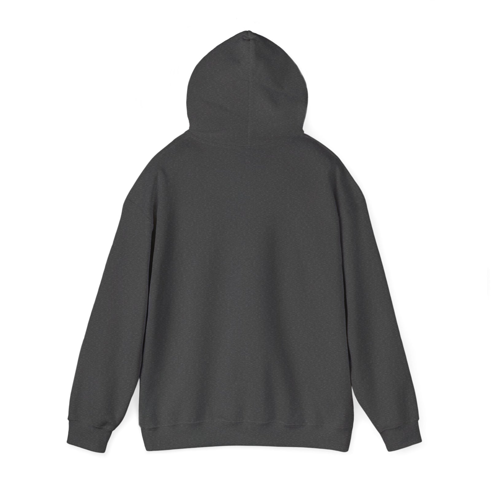 Boeing 737-800 - Pullover Hoodie