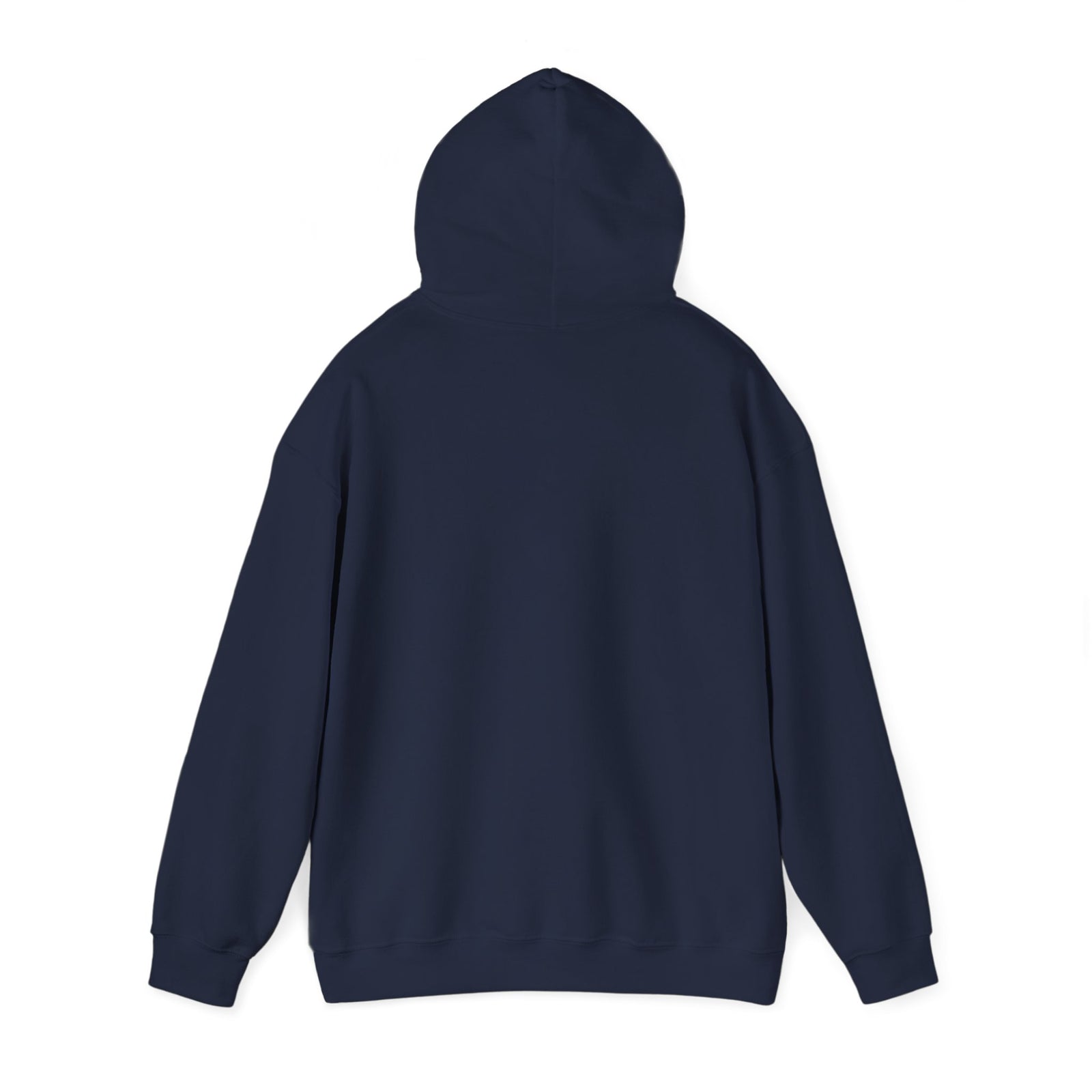 Fly Good Land Gooder - Pullover Hoodie