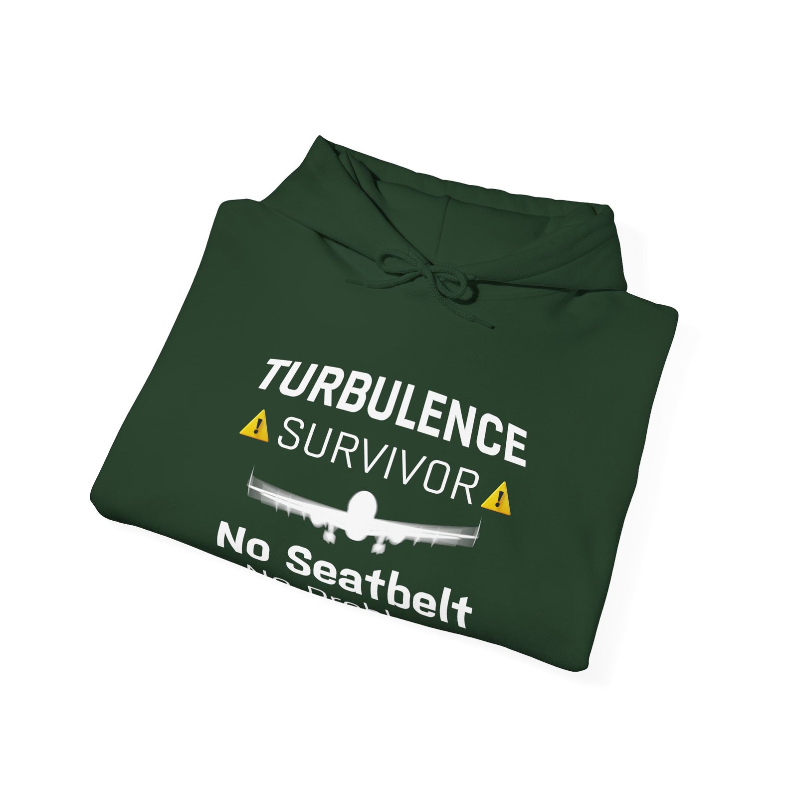 Turbulence survivor - Pullover Hoodie