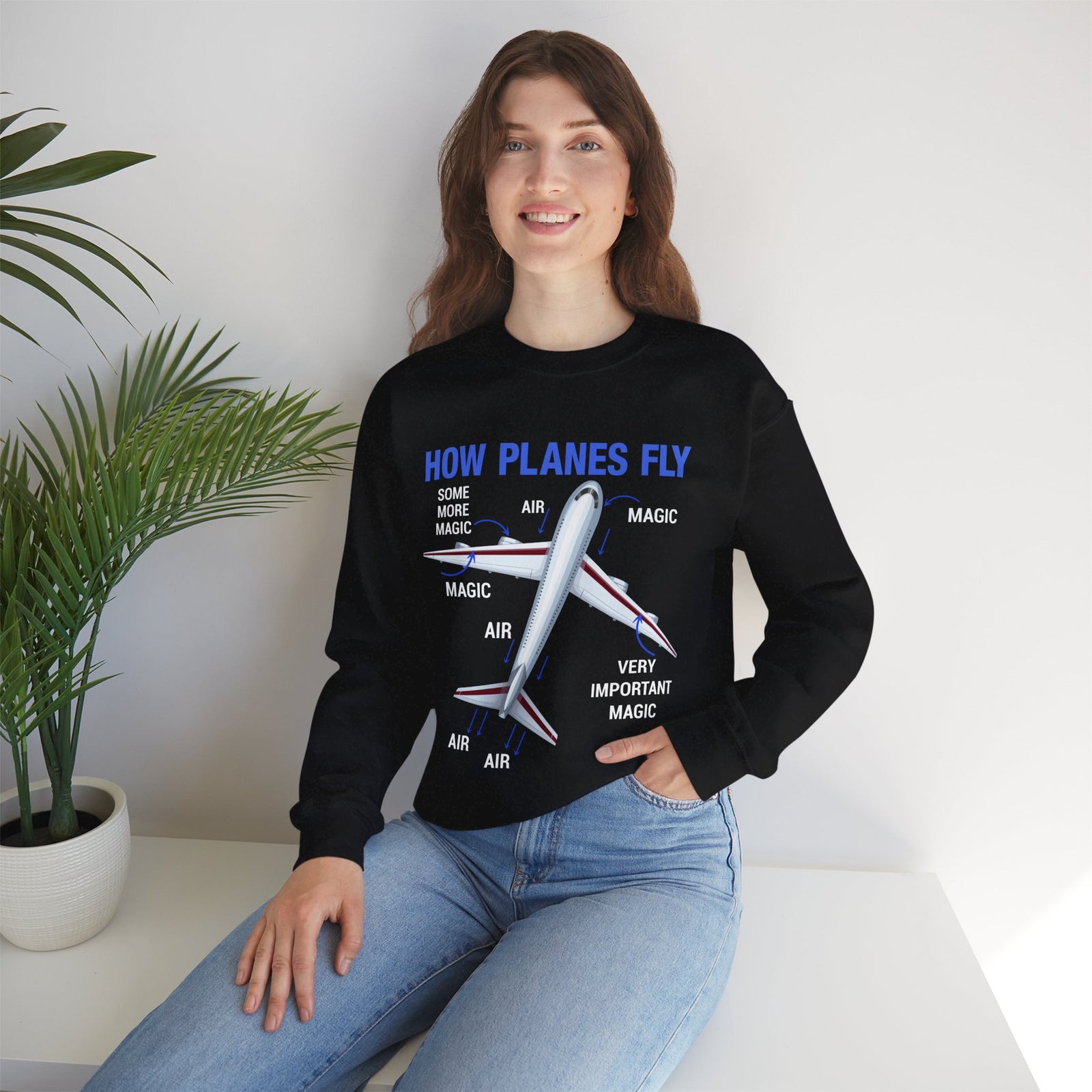 How Planes Fly - Crewneck Sweatshirt