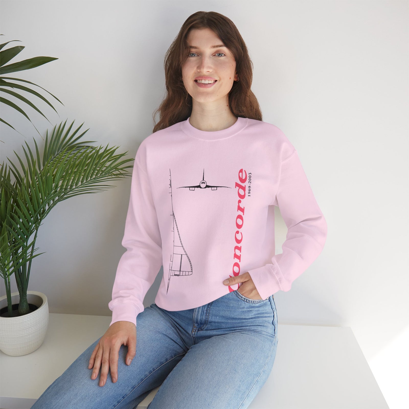 Concorde 1969- 2003 Crewneck Sweatshirt - Travel Inspiring Cozy Apparel