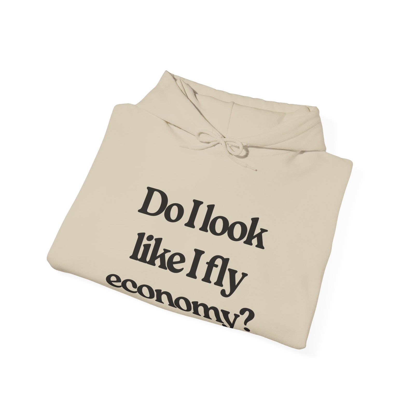 Do I Look Like I Fly Economy? - Pullover Hoodie