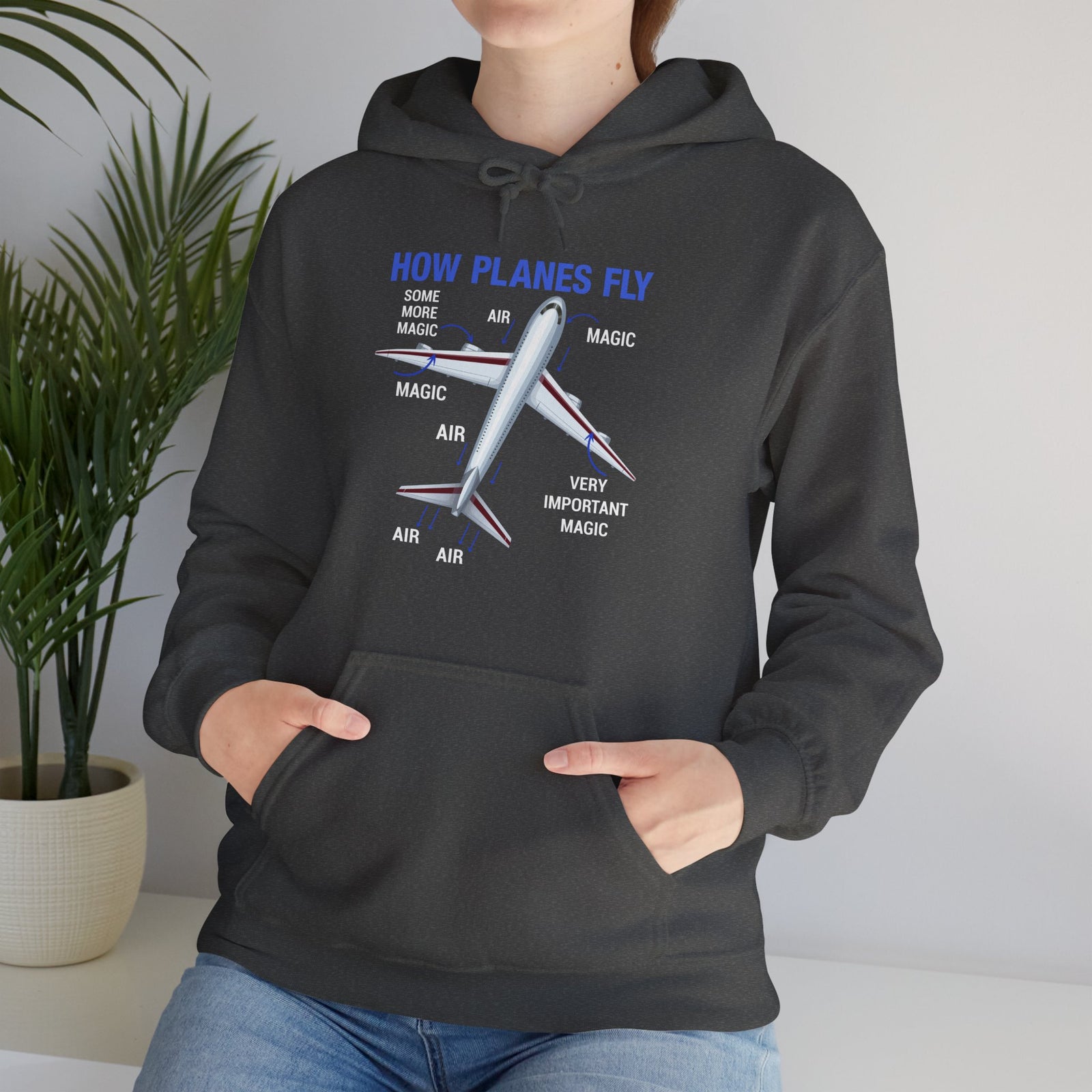 How Planes Fly - Pullover Hoodie