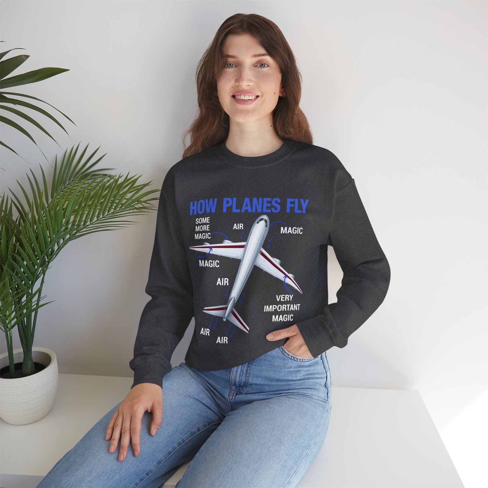 How Planes Fly - Crewneck Sweatshirt