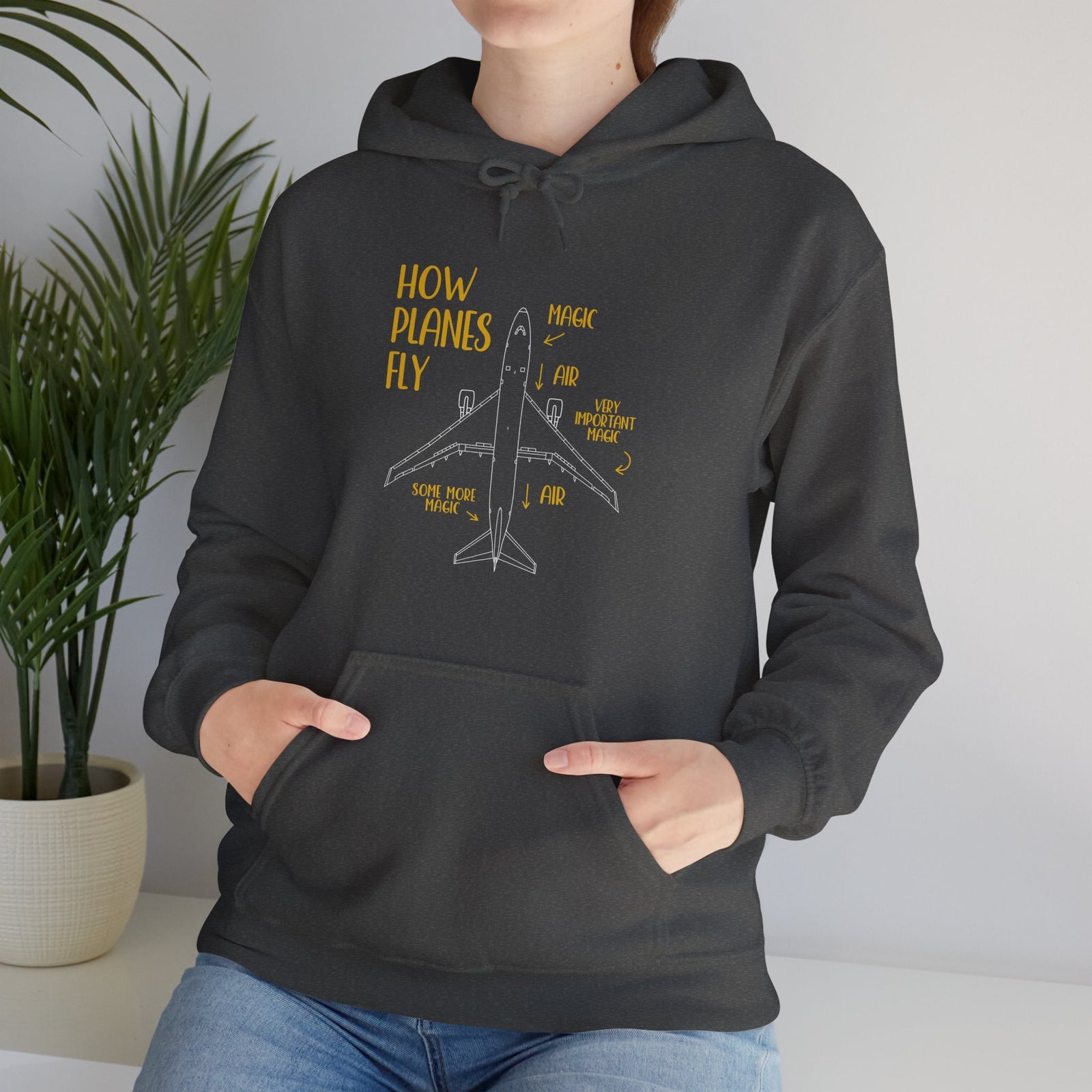 How Planes Fly? - Pullover Hoodie