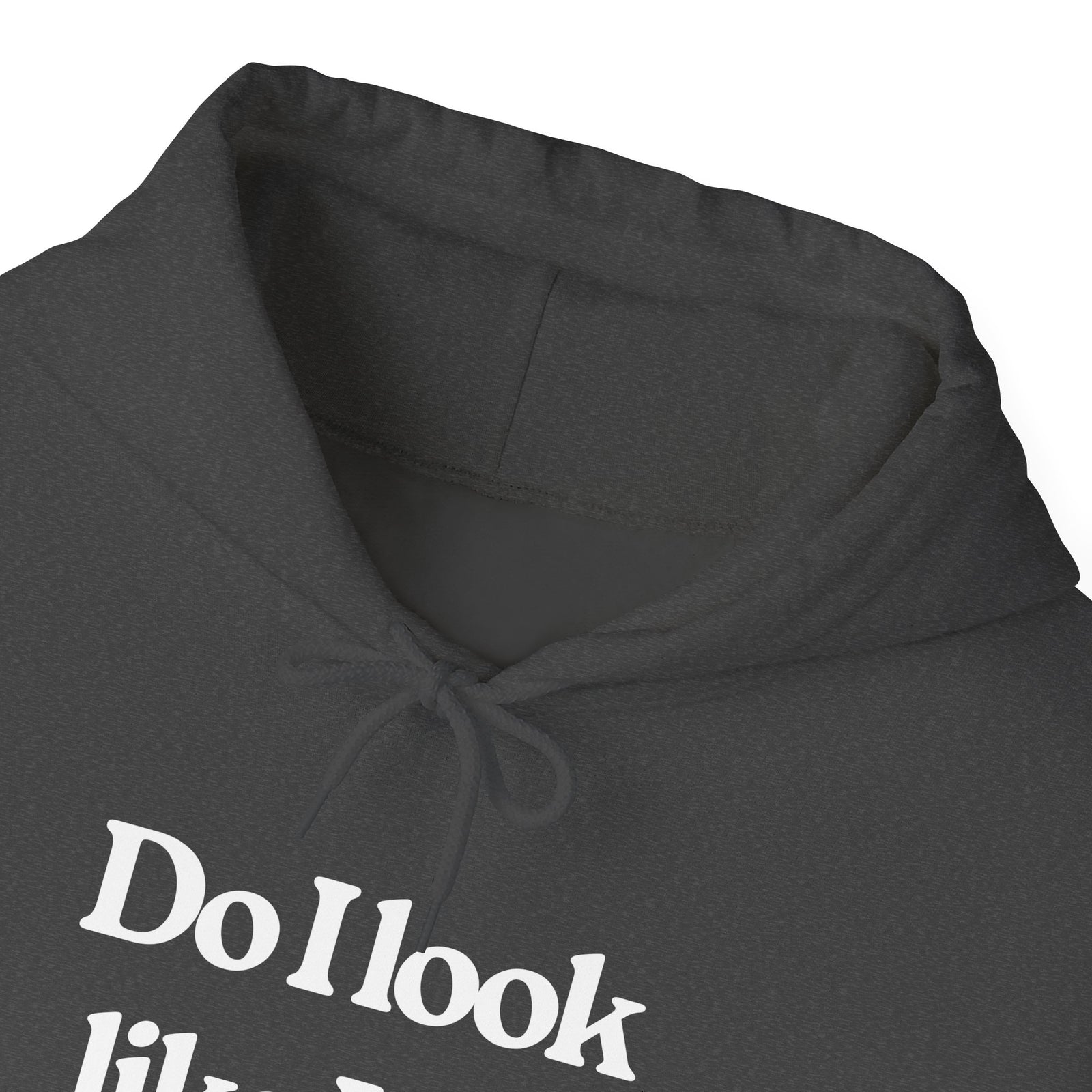 Do I Look Like I Fly Economy? - Pullover Hoodie