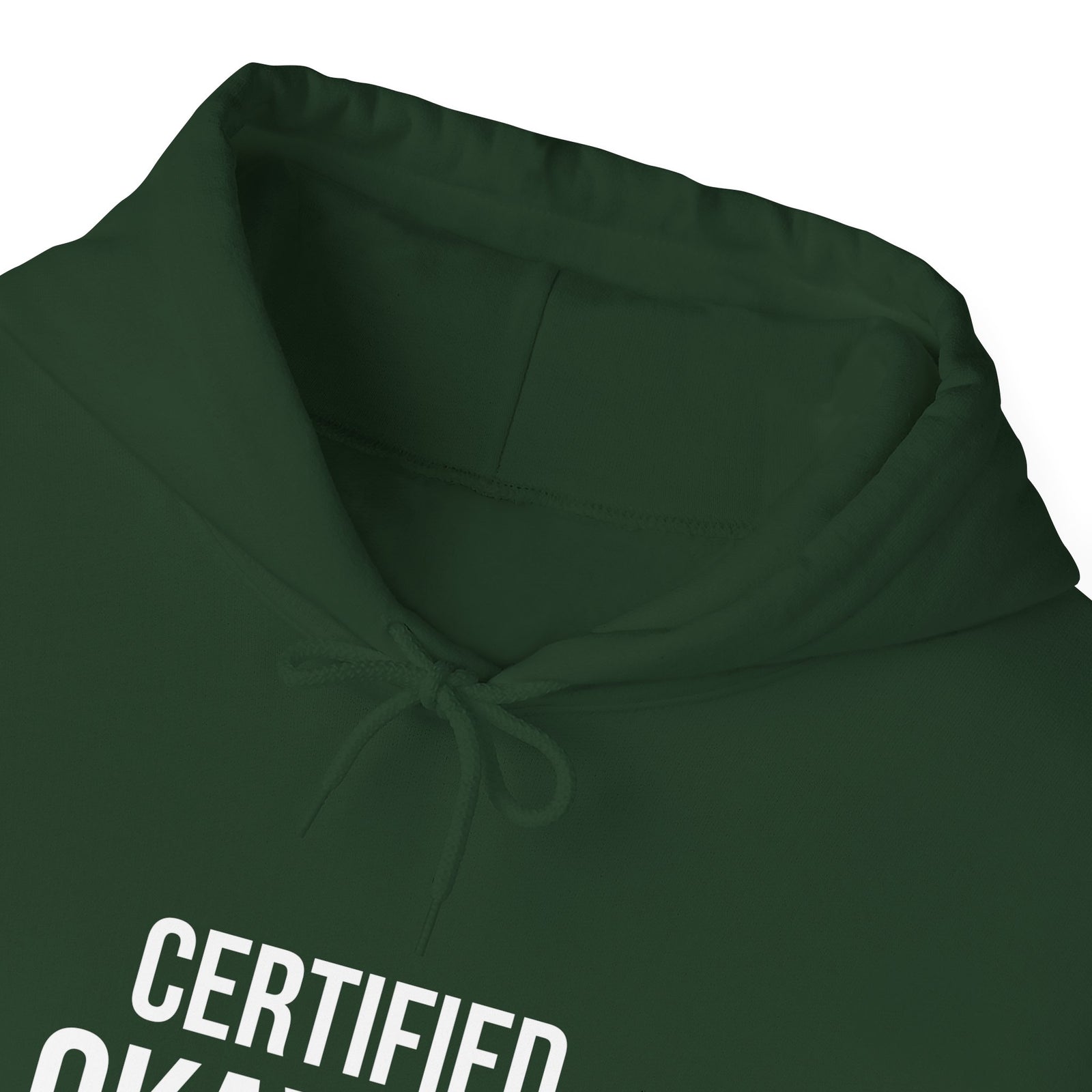 Certified Okay-ish Plane Spotter - Pullover Hoodie