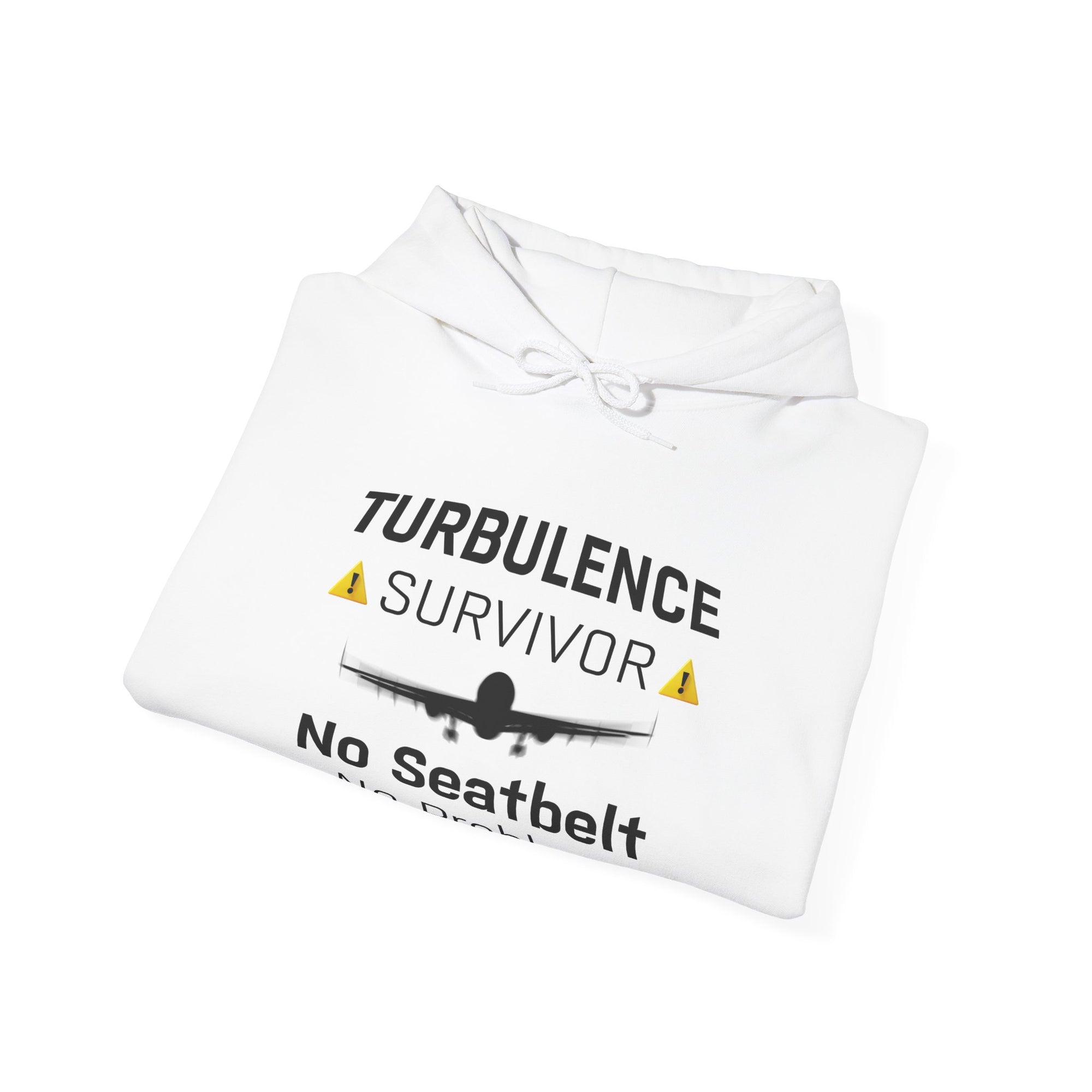 Turbulence survivor - Pullover Hoodie