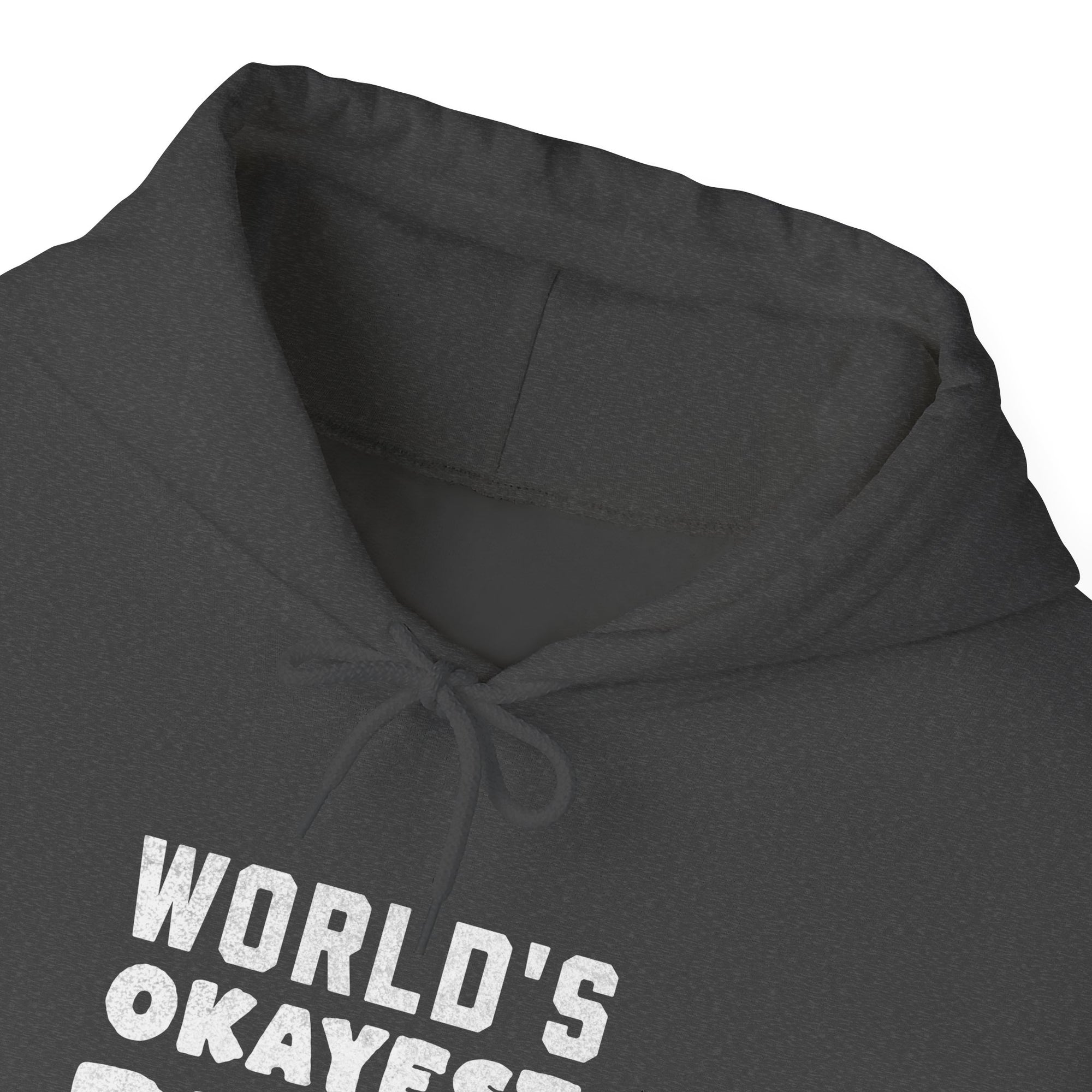 Worlds Okayest Pilot  - Pullover Hoodie