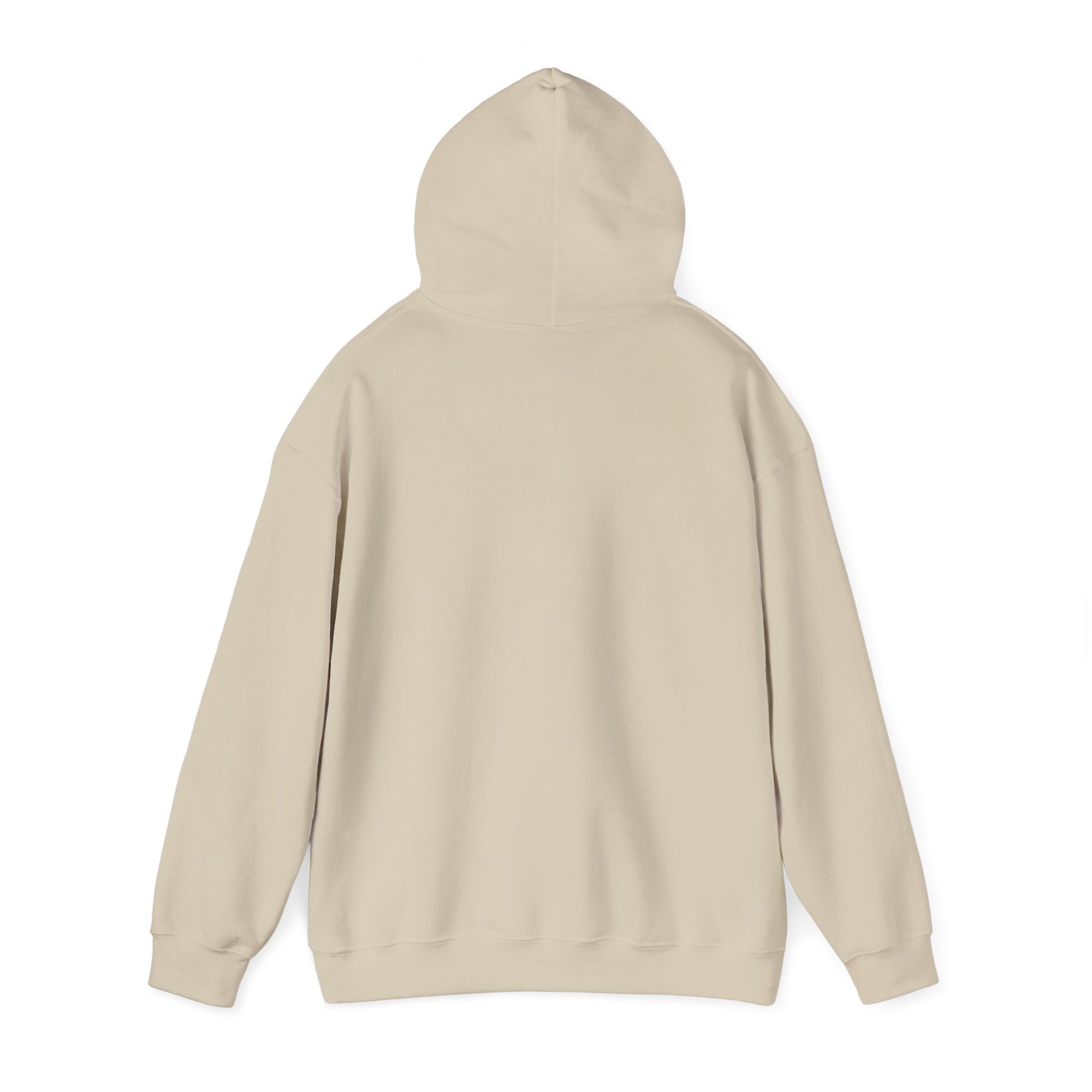 Airbus A340 - Pullover Hoodie