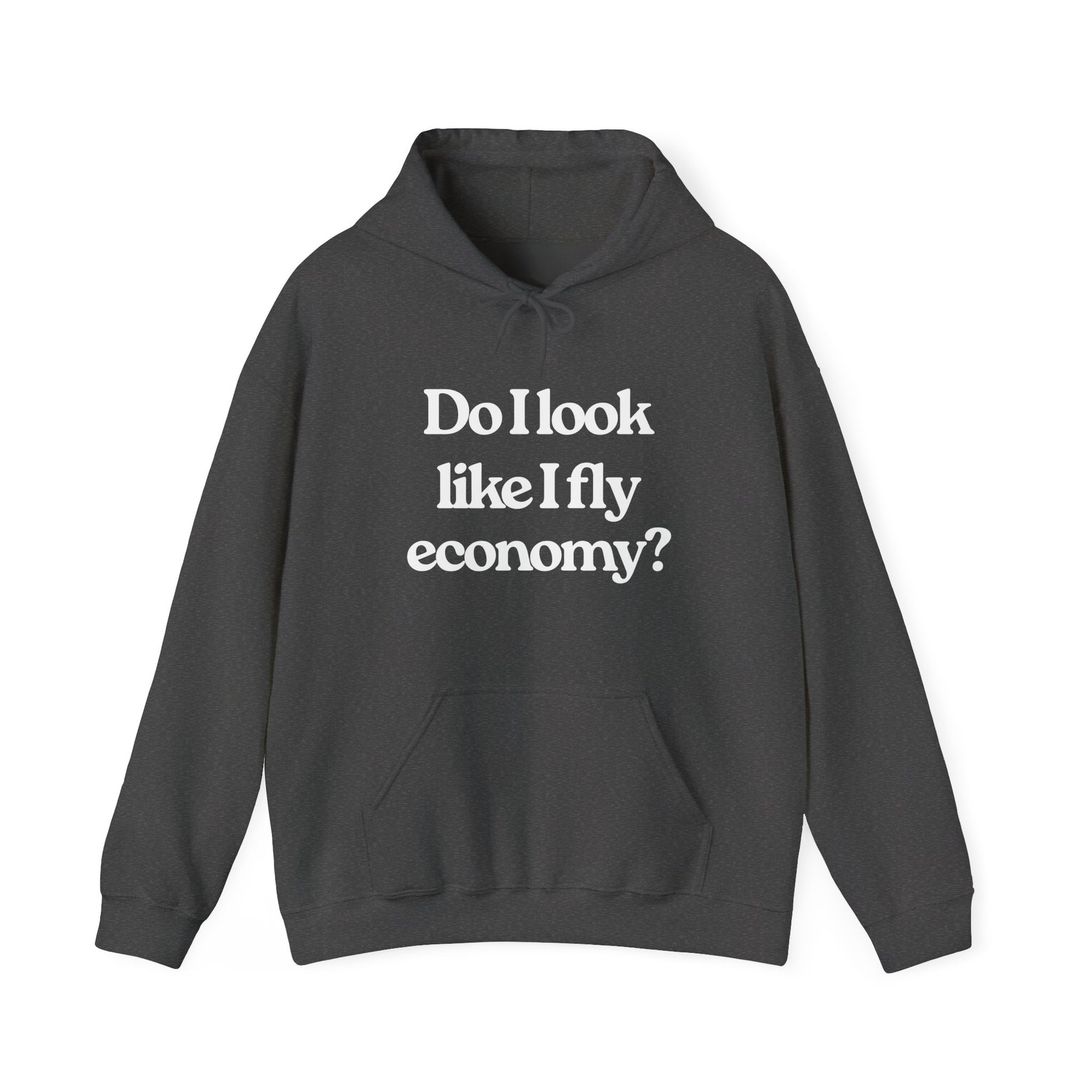 Do I Look Like I Fly Economy?  - Pullover Hoodie