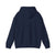 Avgeek Mode Always On  - Pullover Hoodie