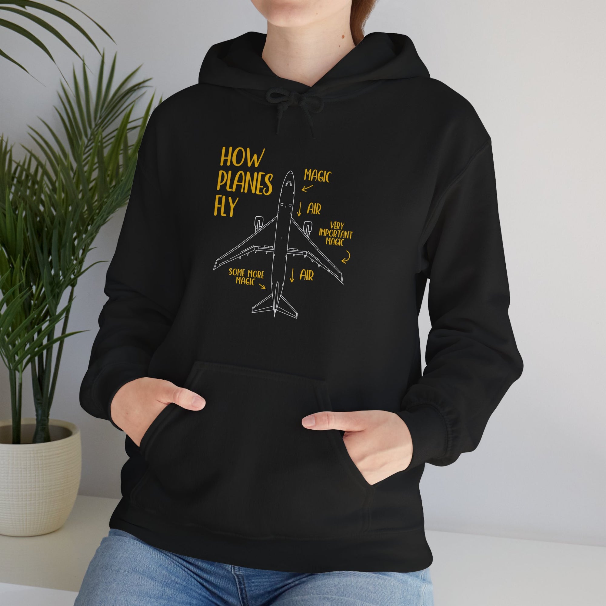 How Planes Fly? - Pullover Hoodie