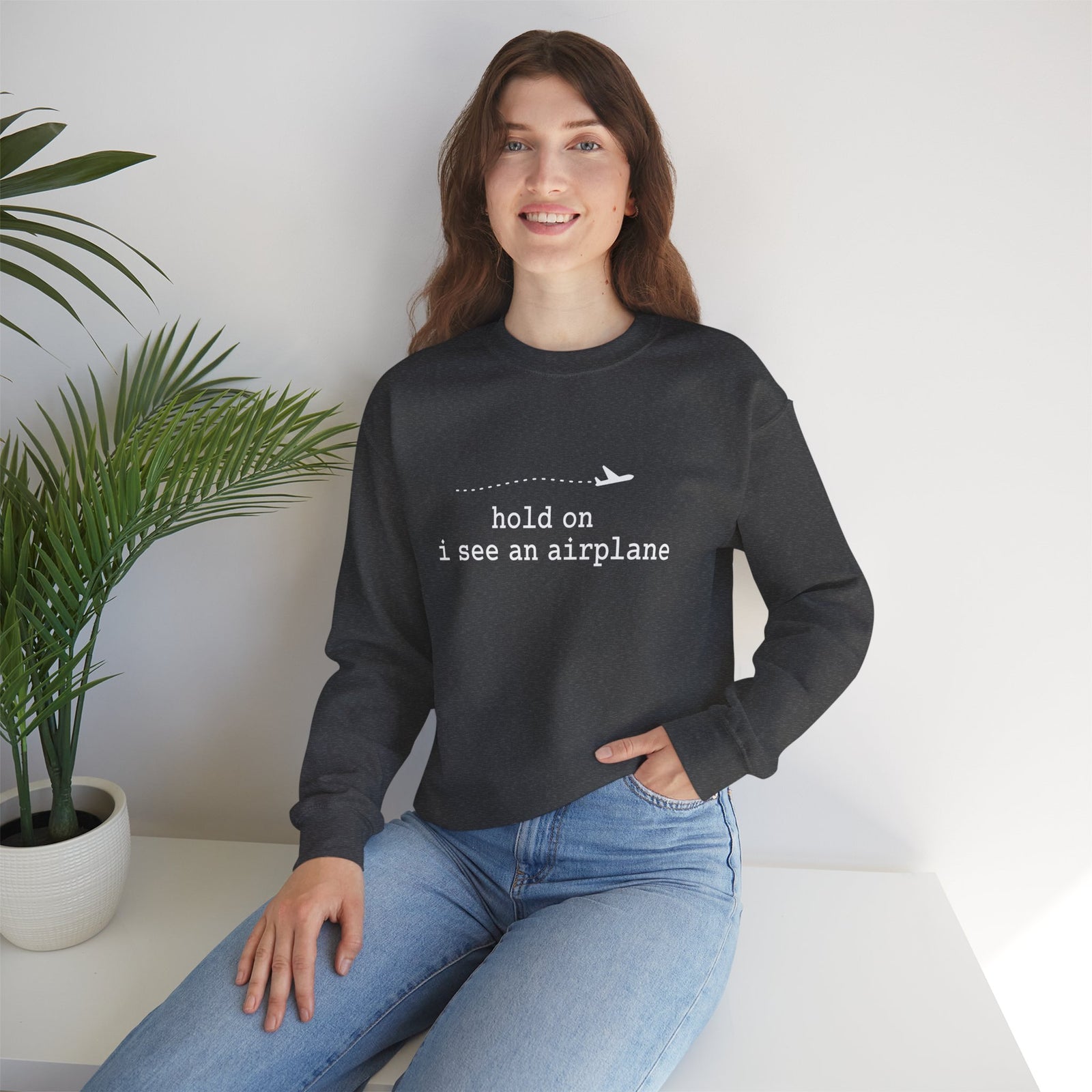 I See An Airplane Crewneck Sweatshirt - Travel Inspiring Cozy Apparel