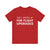 Will Work For Flight Upgrades - Unisex Jersey Tee