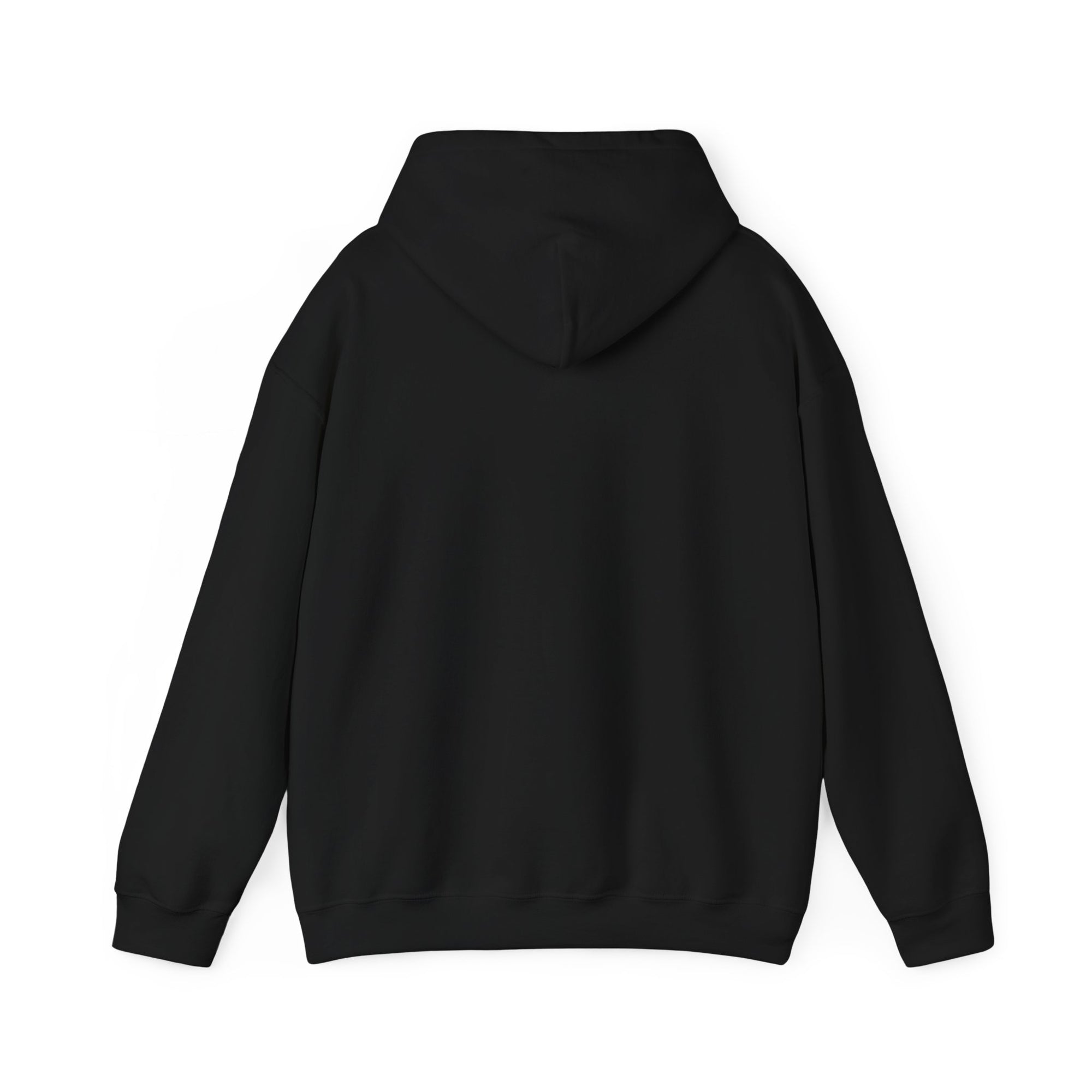 Airplane Mode On - Pullover Hoodie