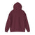 Airbus A380  - Pullover Hoodie