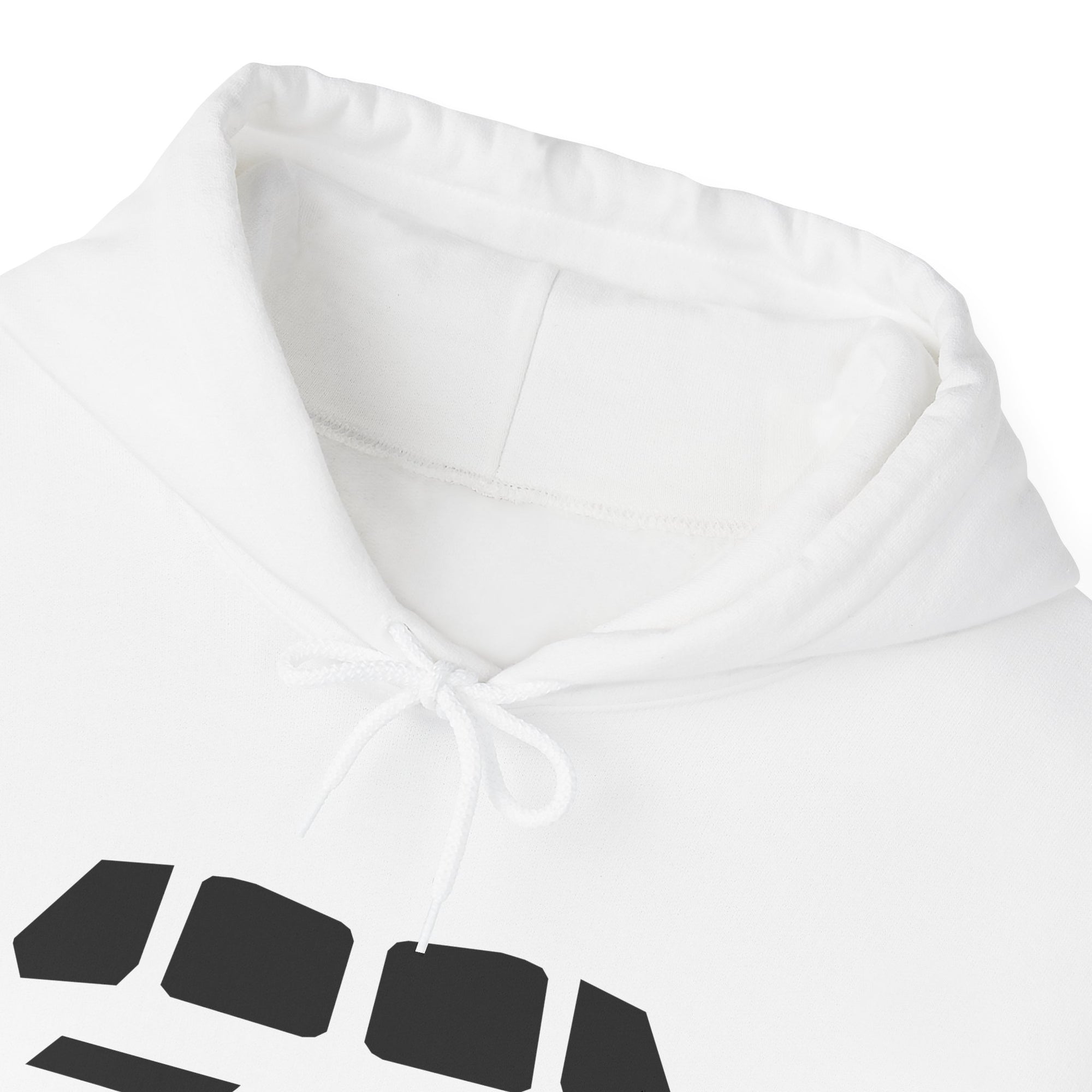 Windshield Boeing 787  - Pullover Hoodie