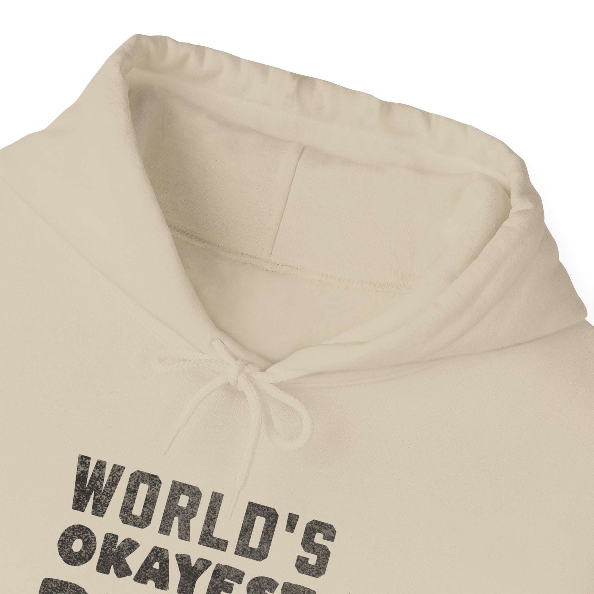Worlds Okayest Pilot  - Pullover Hoodie