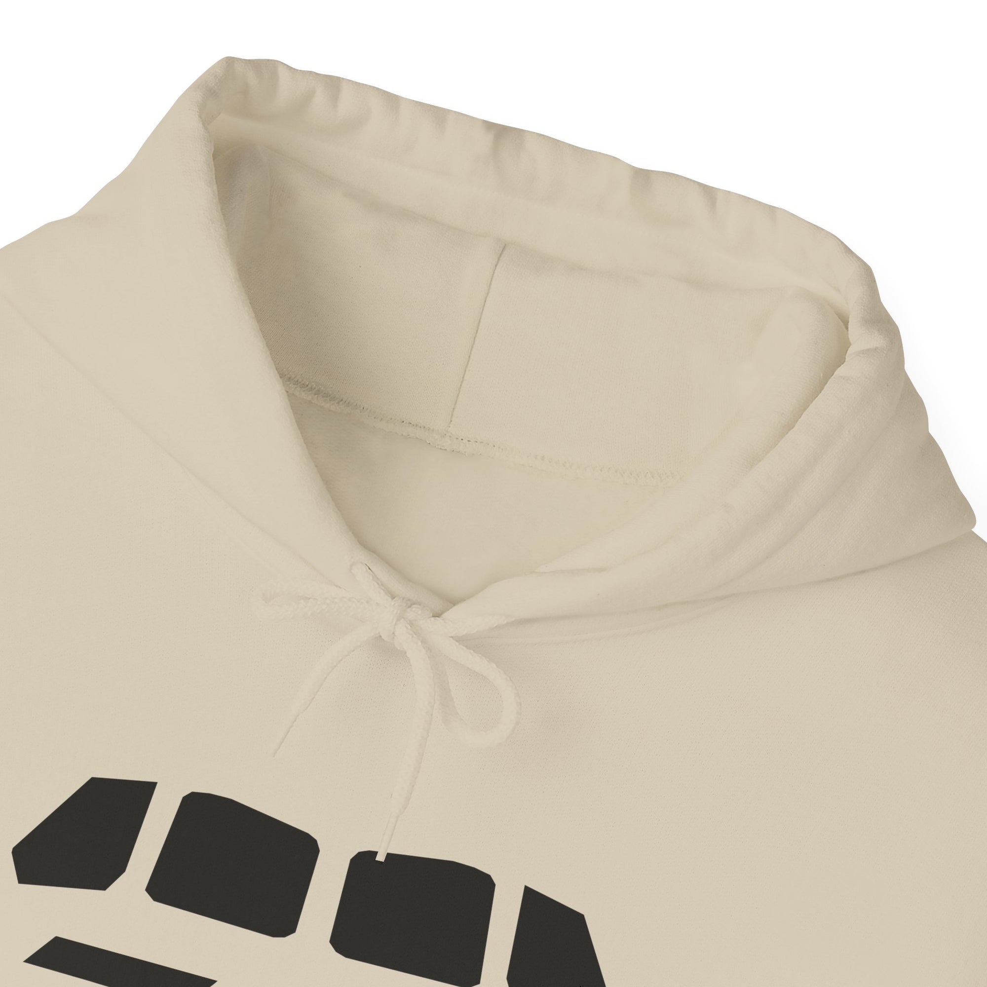 Windshield Boeing 787  - Pullover Hoodie
