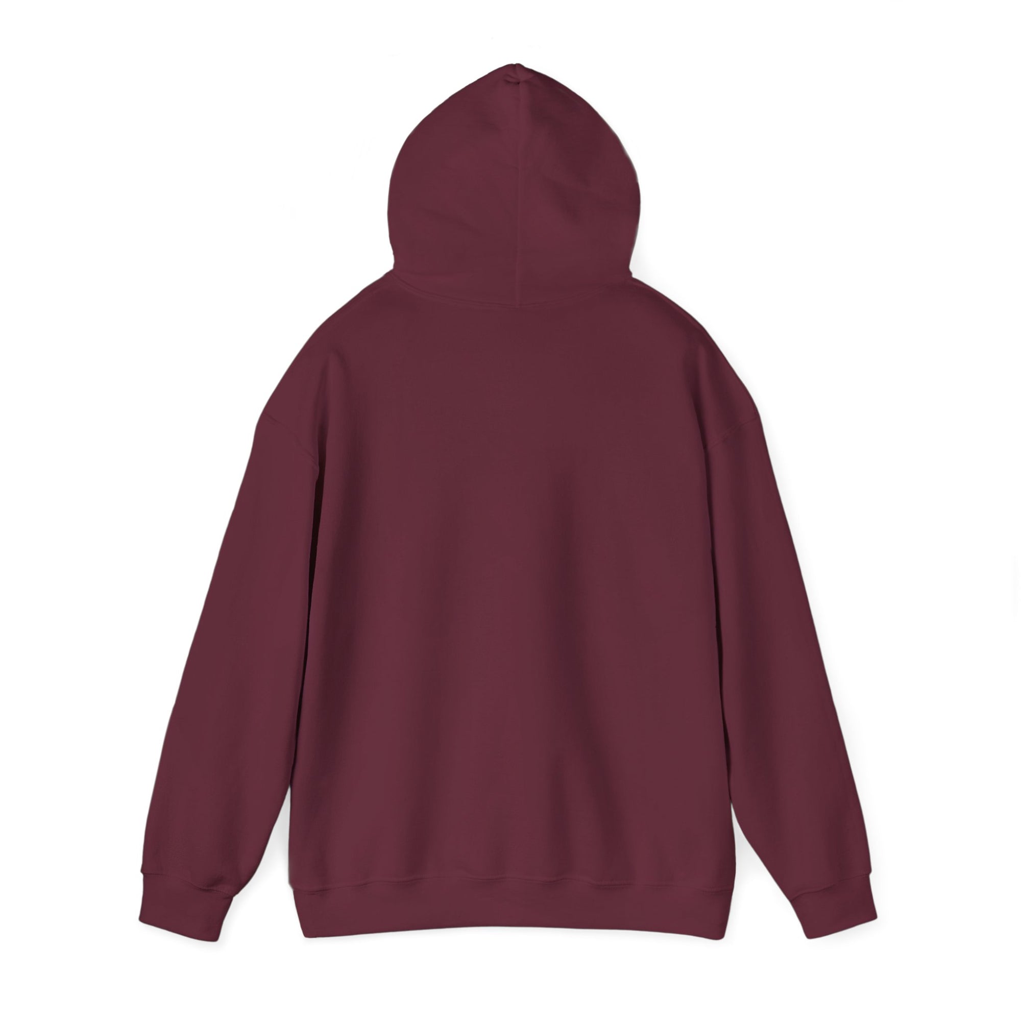Airbus A318  - Pullover Hoodie