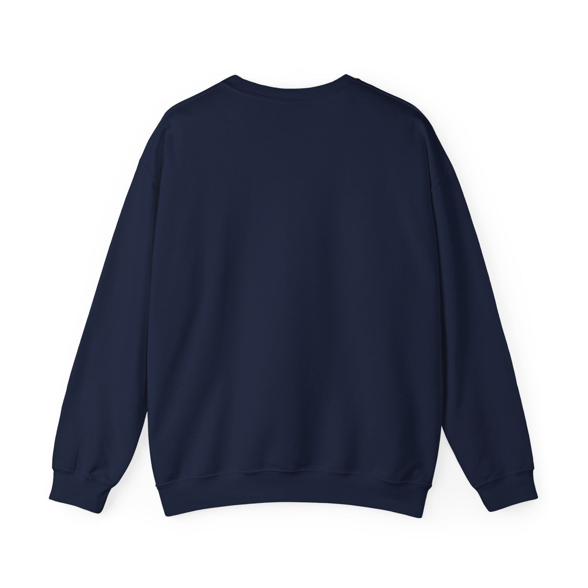 Concorde 1969- 2003 Crewneck Sweatshirt - Travel Inspiring Cozy Apparel