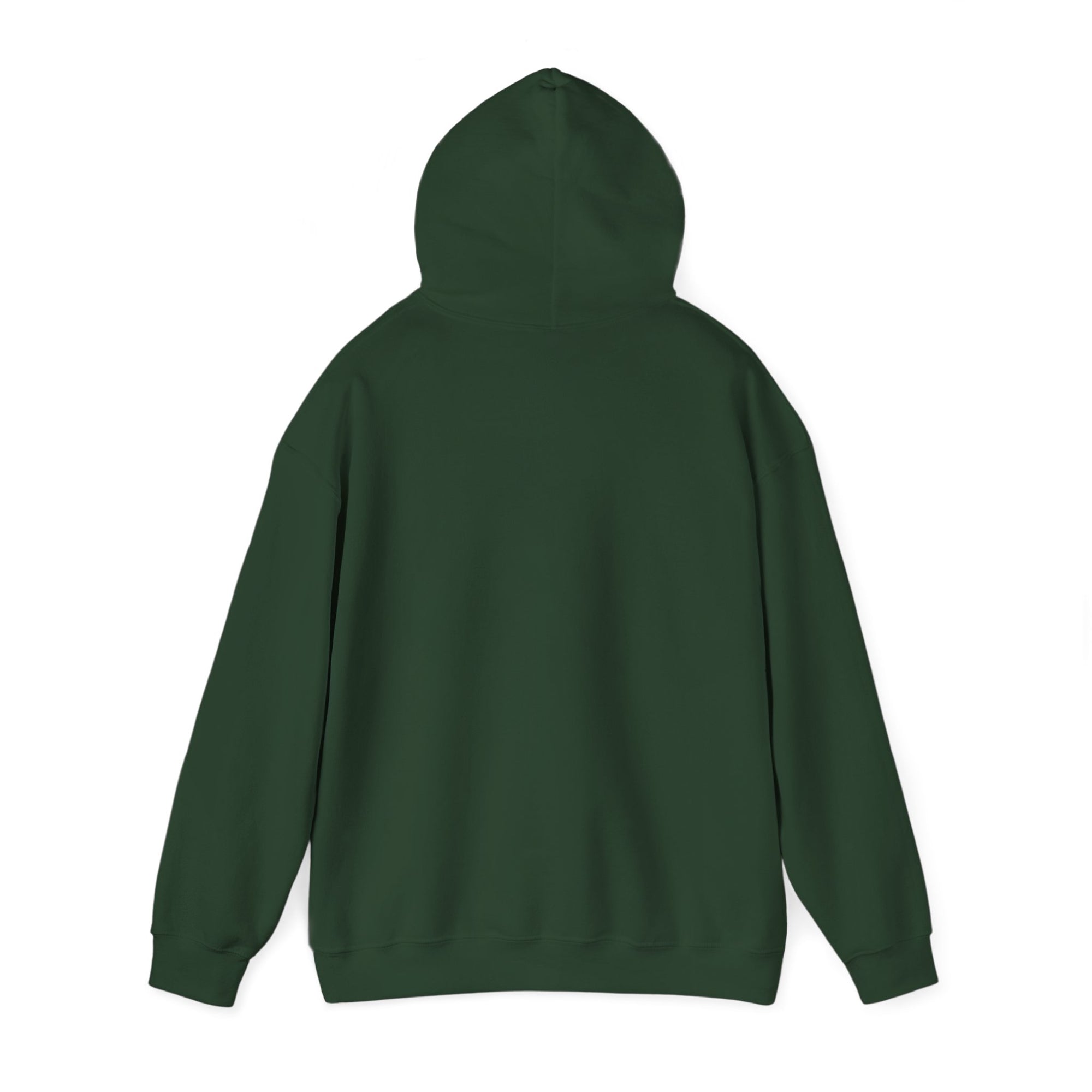 Fly Good Land Gooder  - Pullover Hoodie