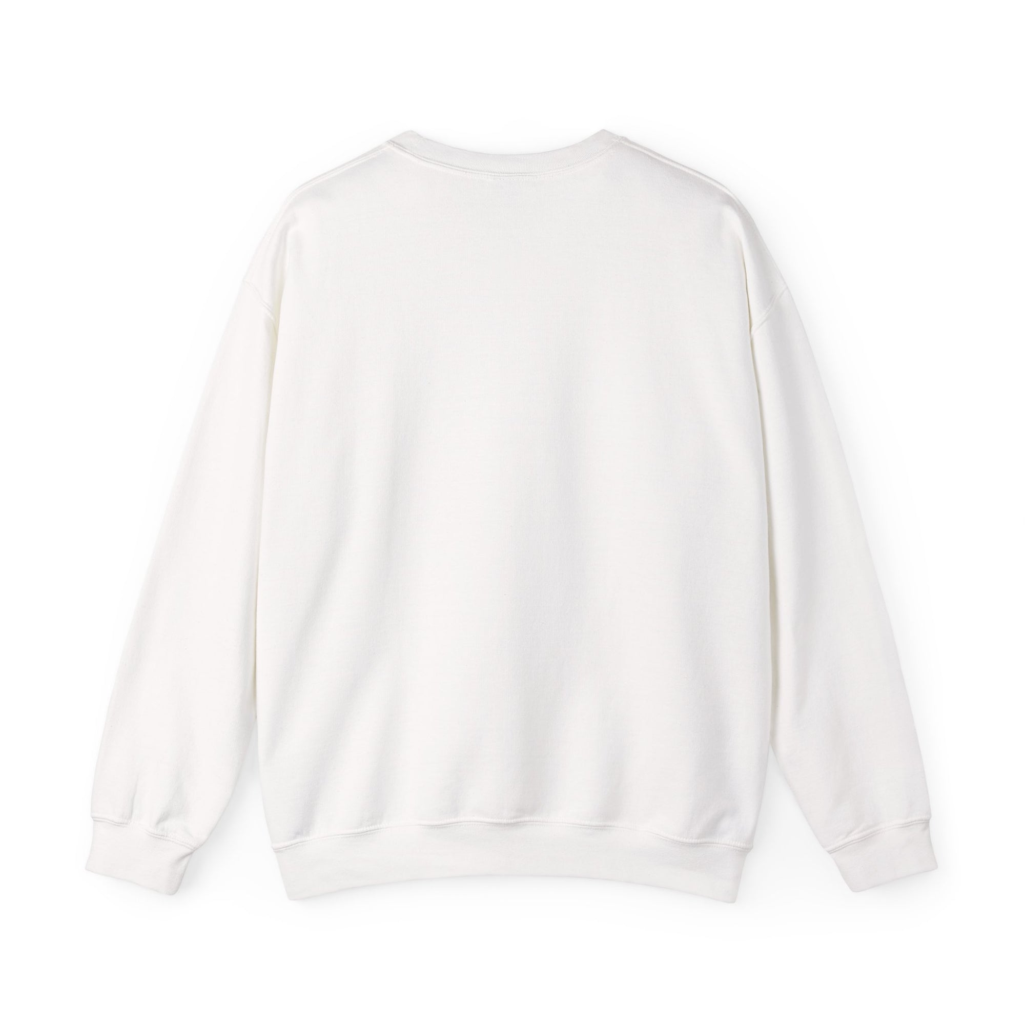 Concorde 1969- 2003 Crewneck Sweatshirt - Travel Inspiring Cozy Apparel