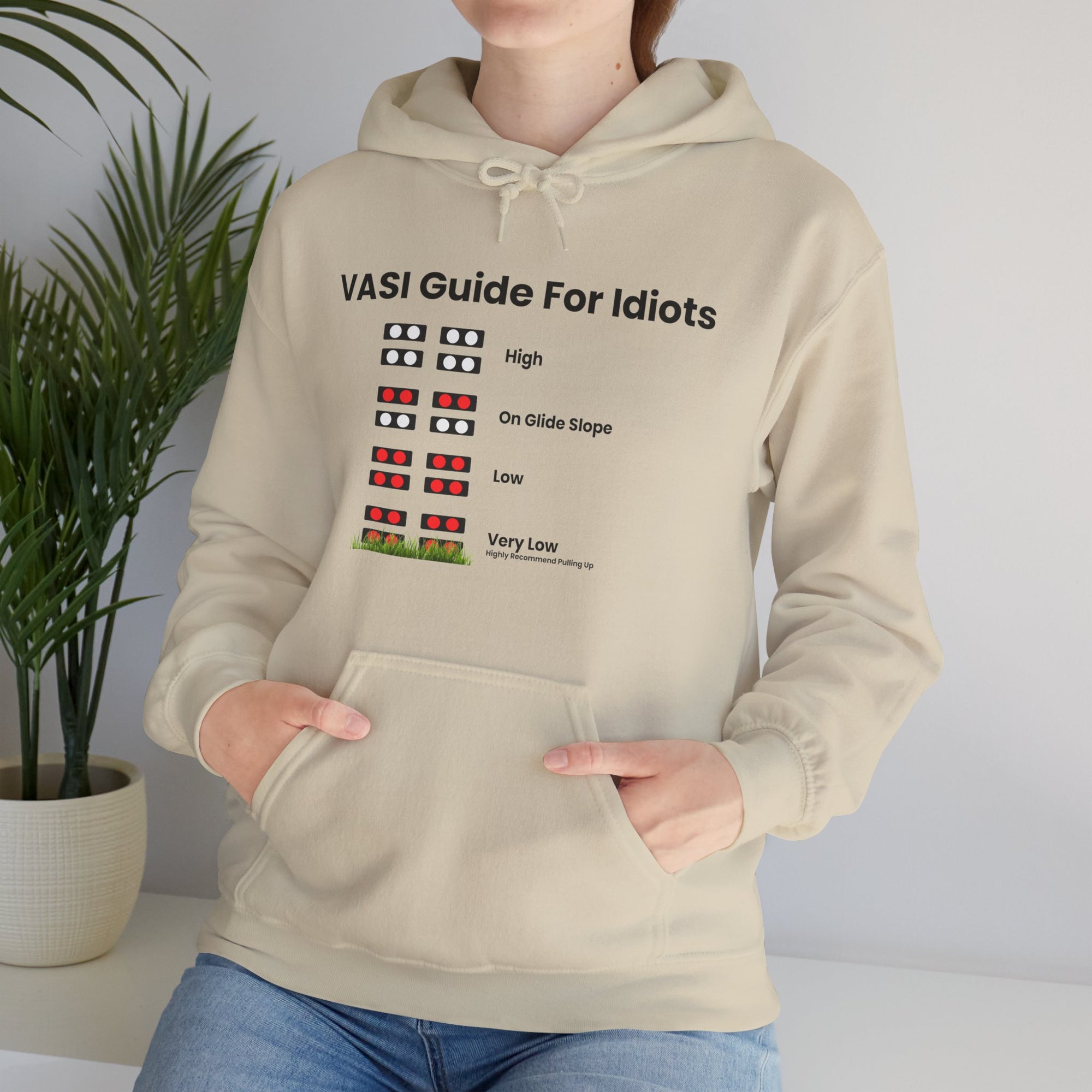 Vasi guide for idiots  - Pullover Hoodie