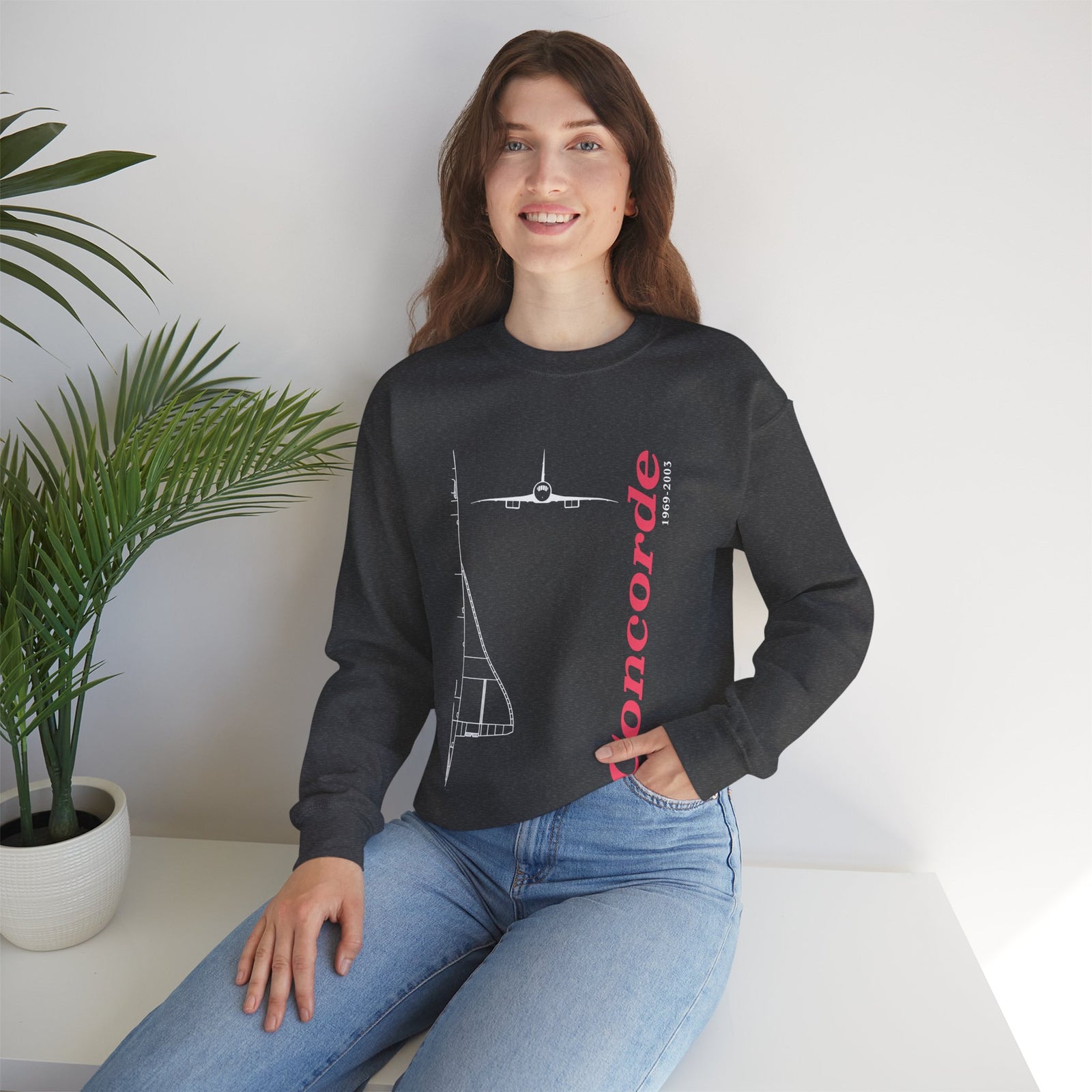 Concorde 1969- 2003 Crewneck Sweatshirt - Travel Inspiring Cozy Apparel