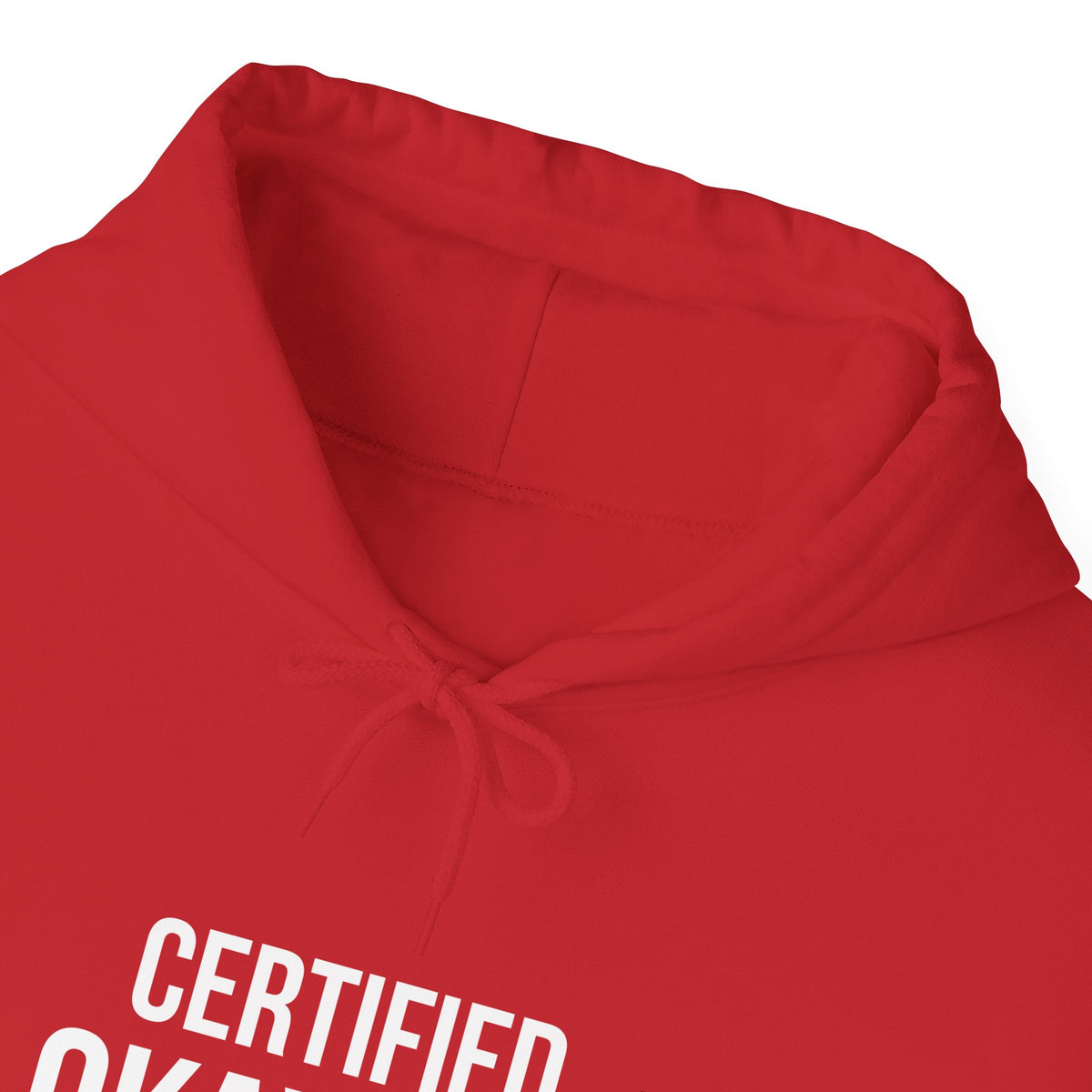 Certified Okay-ish Traveller- Pullover Hoodie