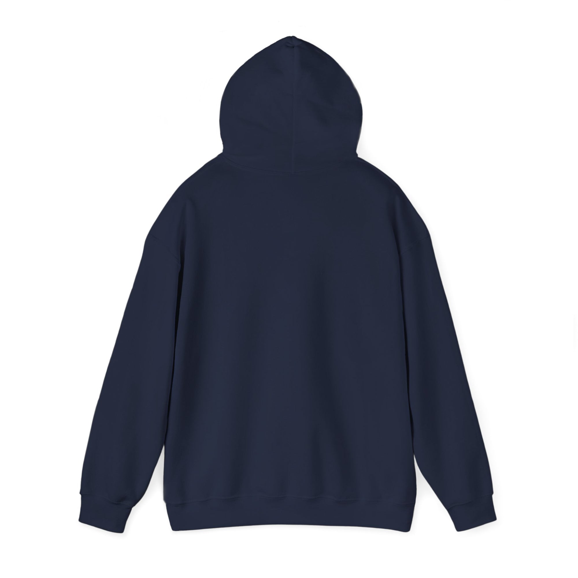 Airbus A350  - Pullover Hoodie