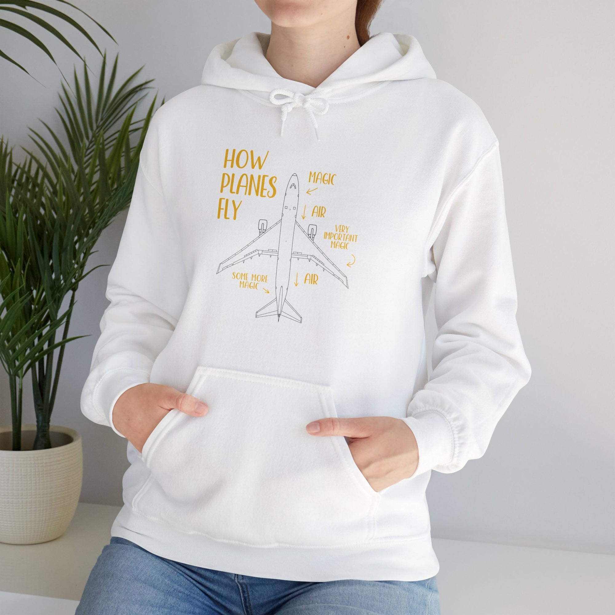 How Planes Fly? - Pullover Hoodie