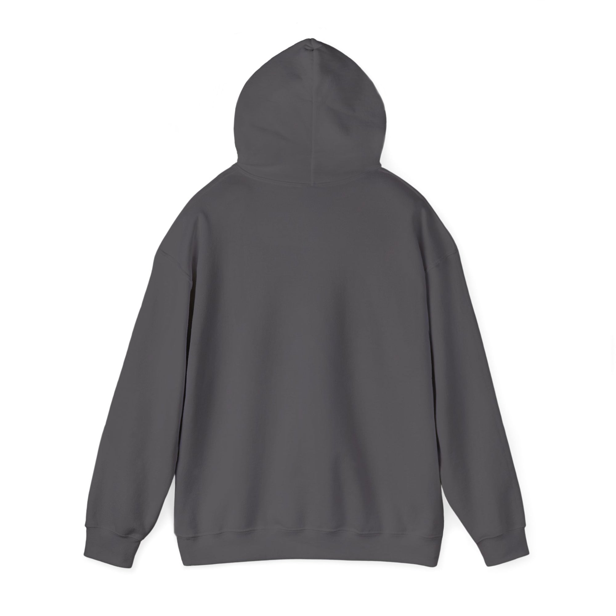 We Rule The Sky  - Pullover Hoodie