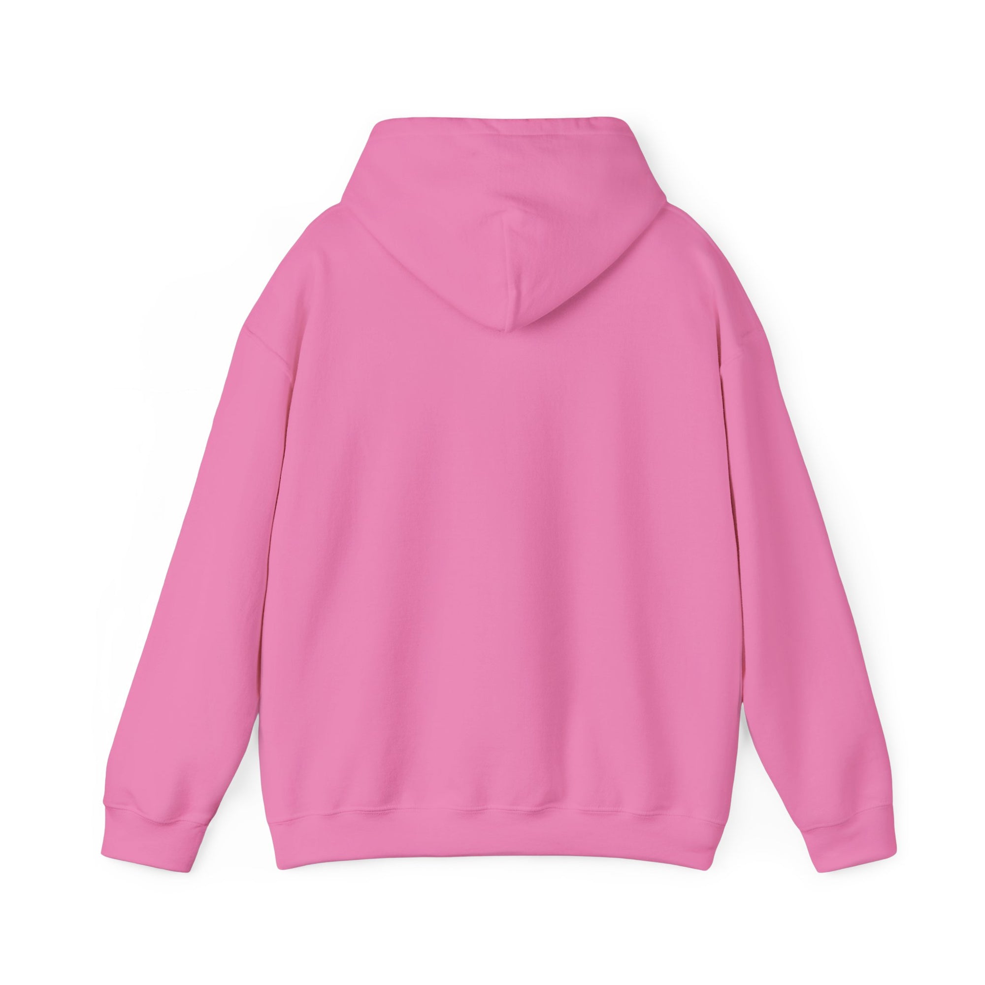 If Found: Return To First Class - Pullover Hoodie
