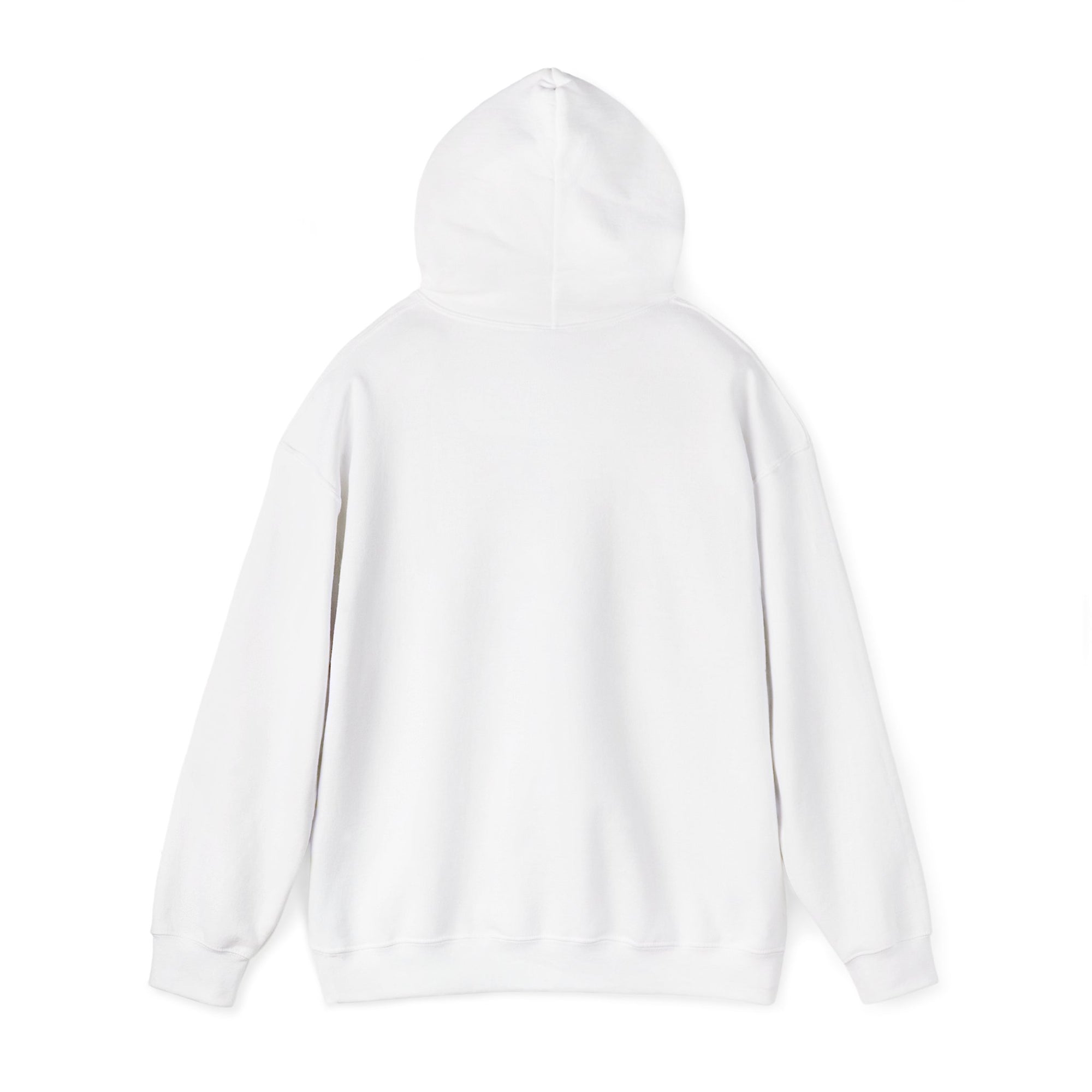 Airbus A340 - Pullover Hoodie